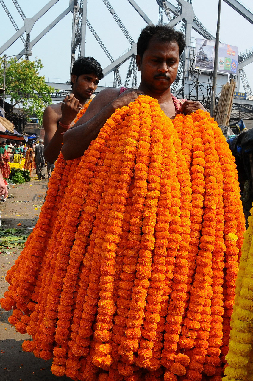 Marché aux fleurs