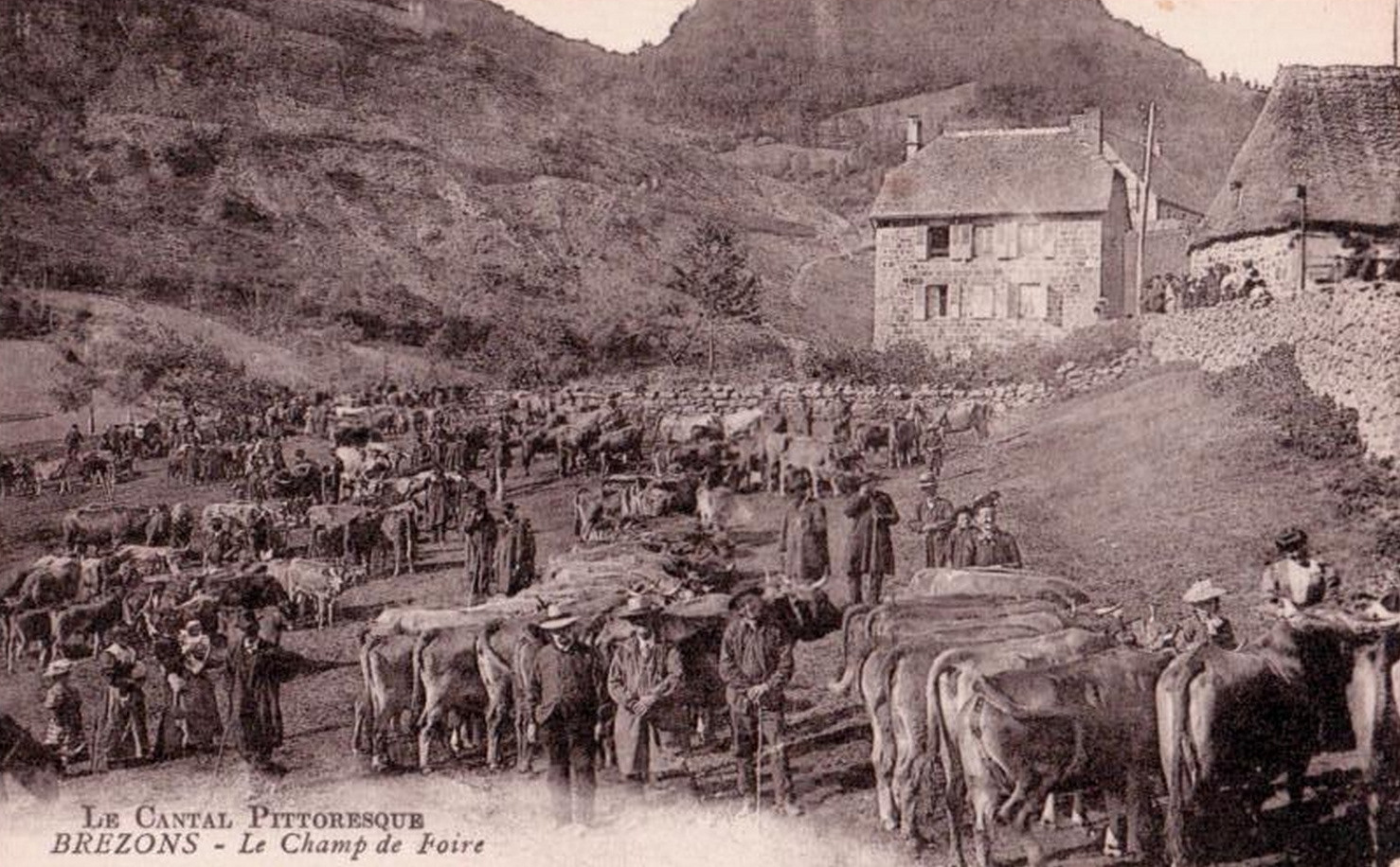 Marché aux bestiaux  Brezons