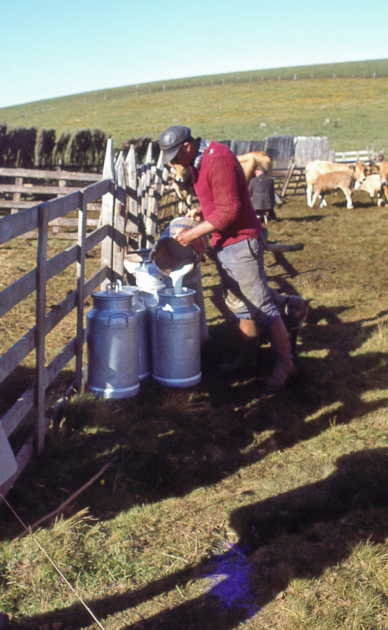 Récupération du lait