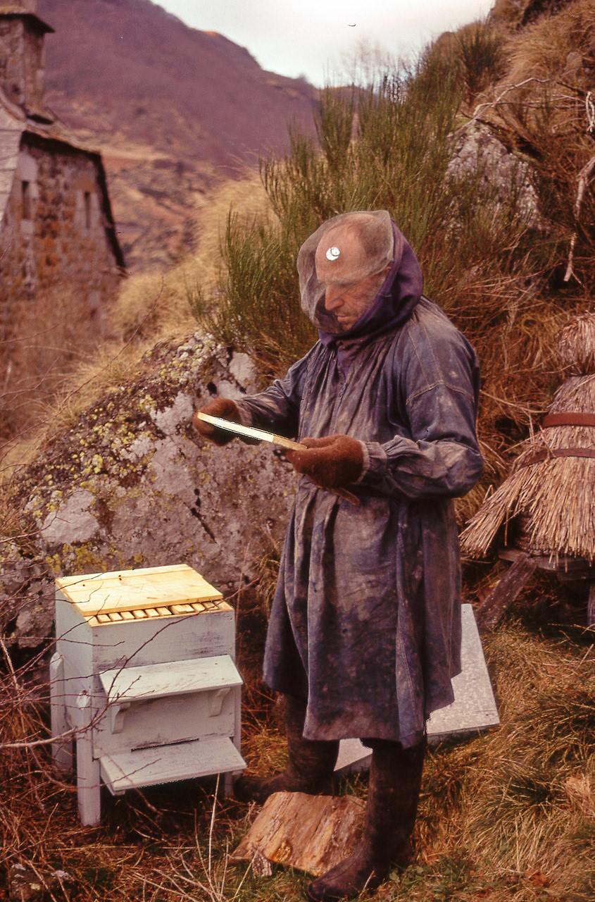 Pirelou et les abeilles