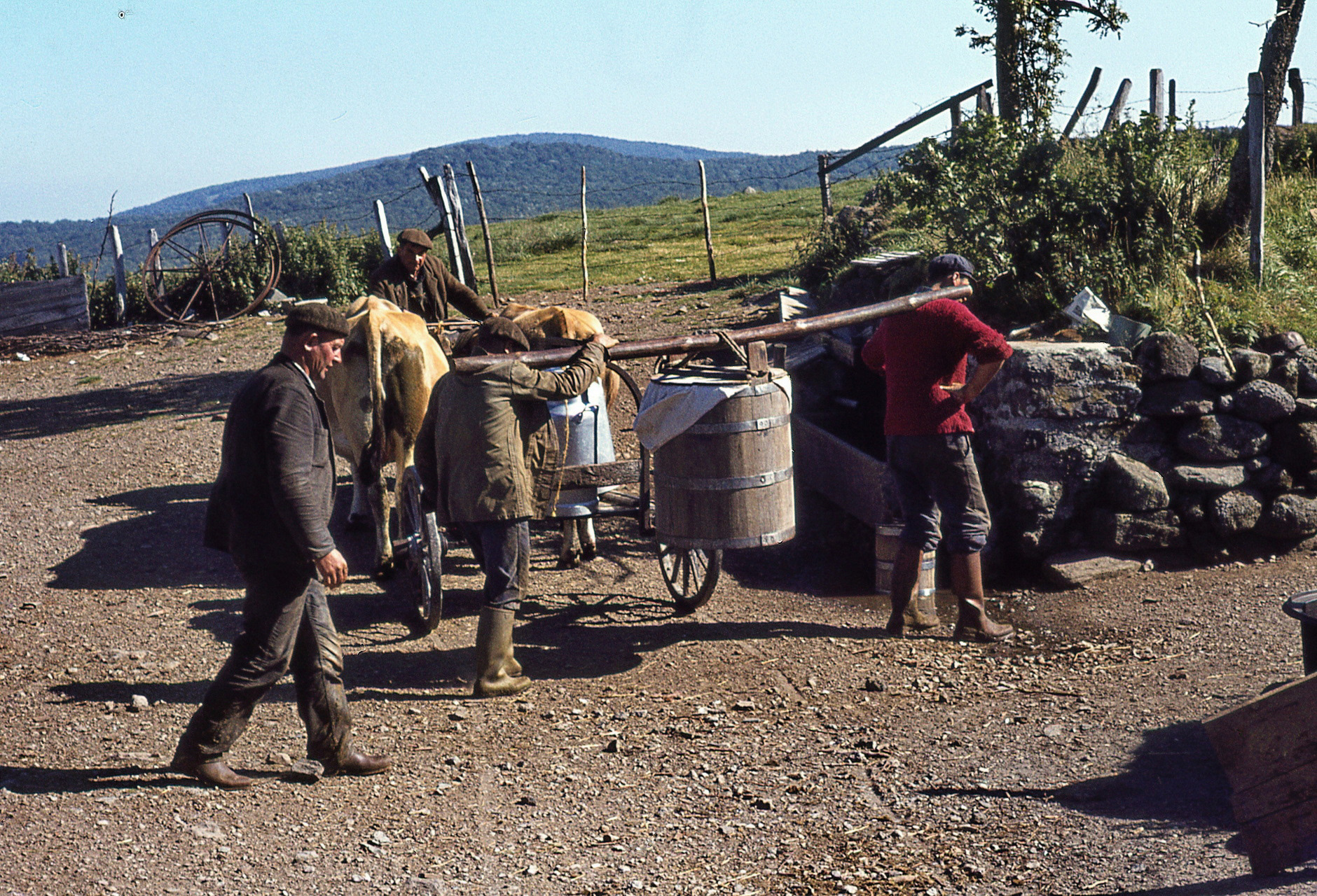 Transport de la gerle
