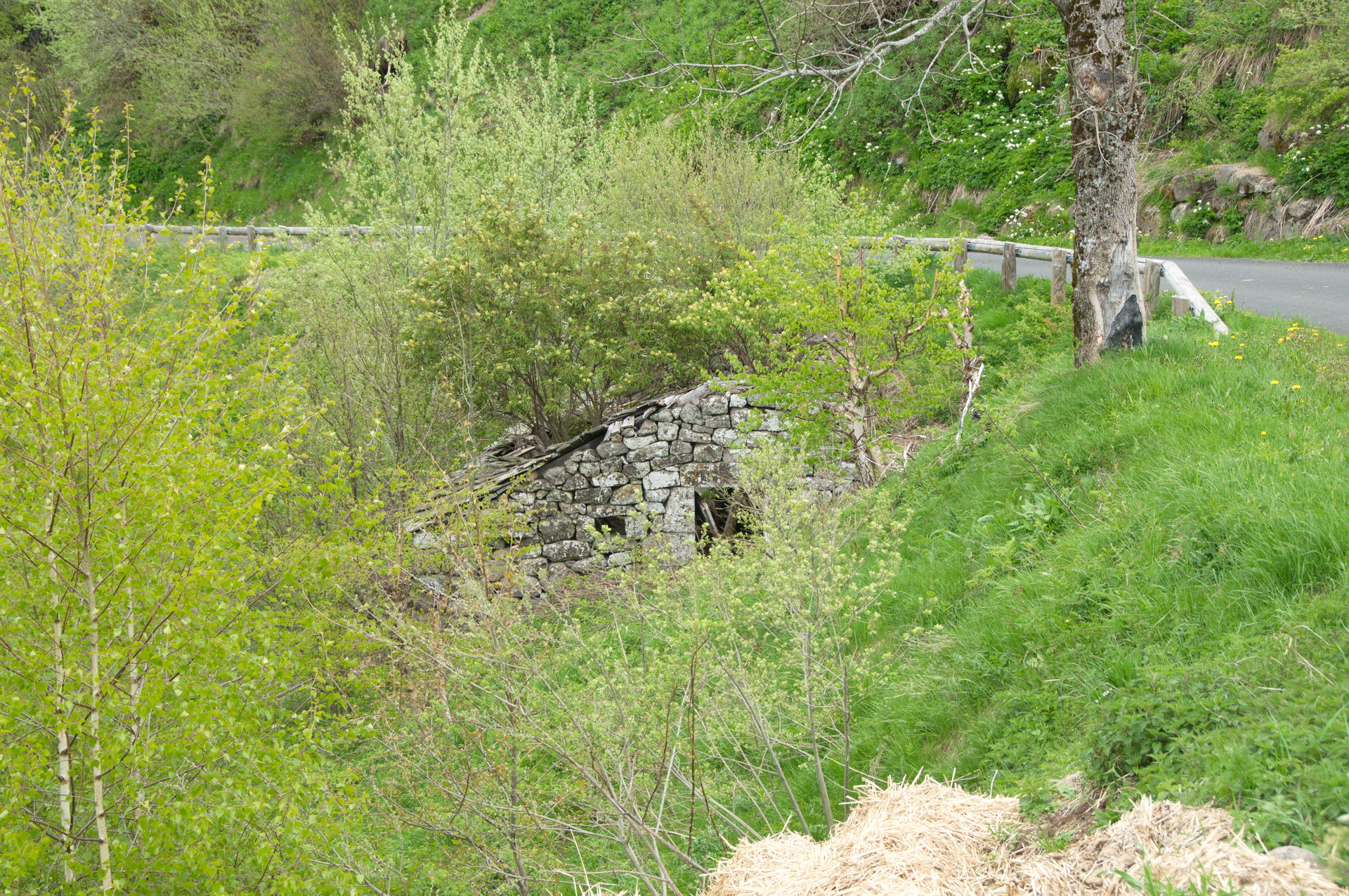 Le moulin de la dolvadenche