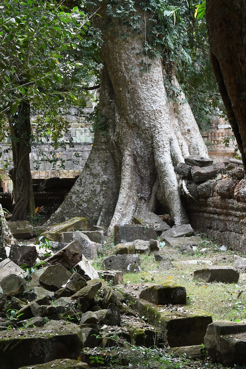 Ta Prohm