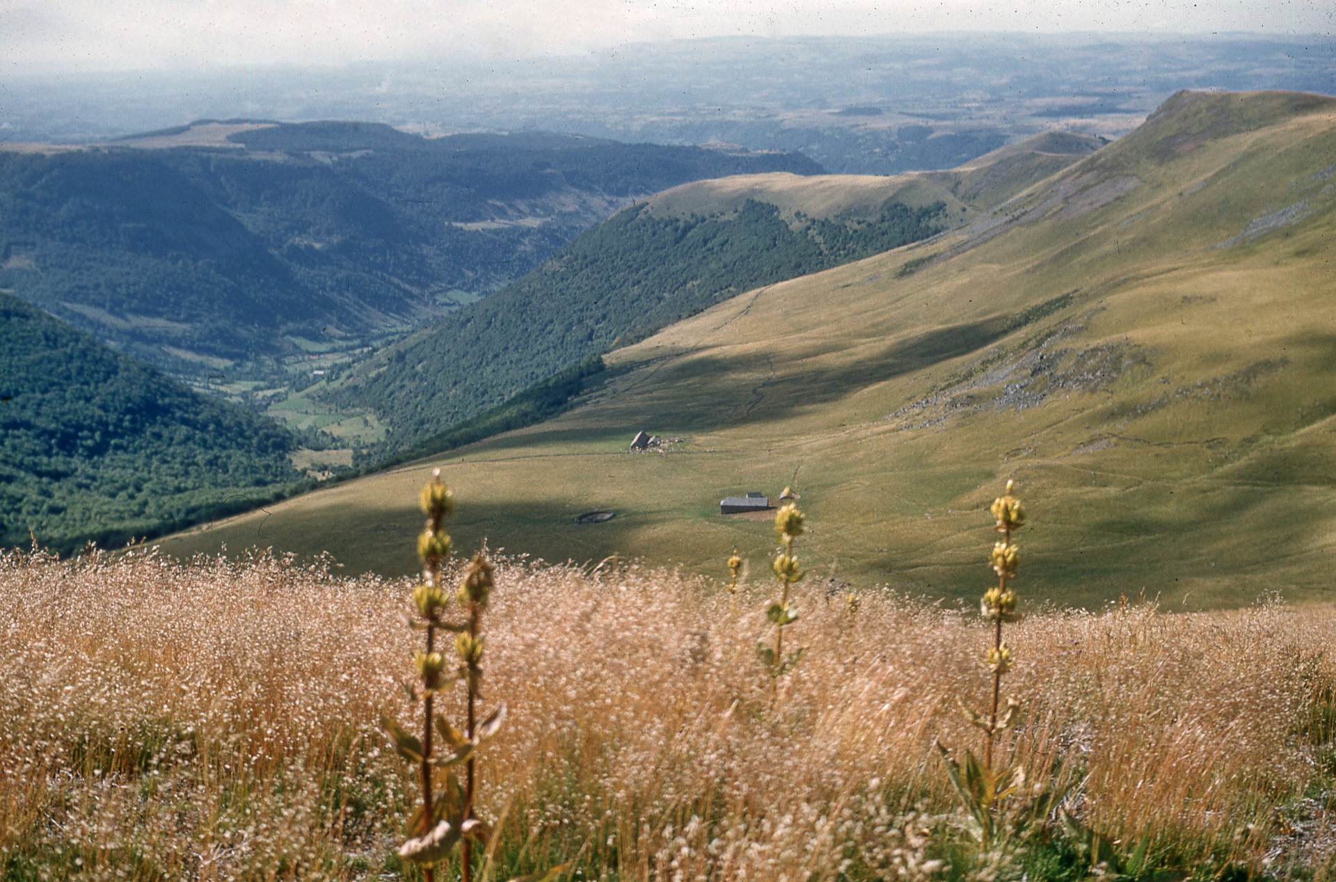 Le cirque de grandval