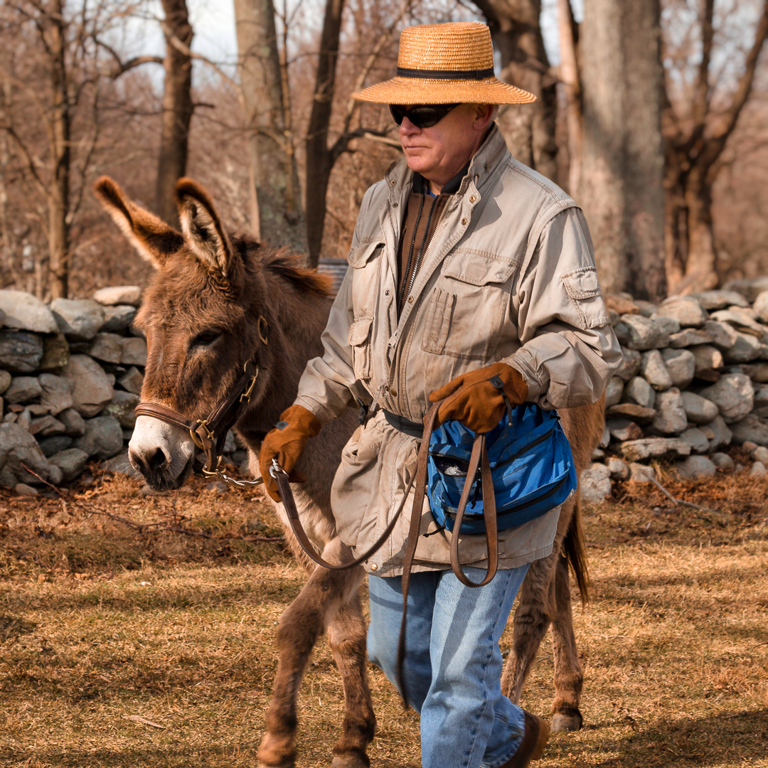 A Walk in the Pasture