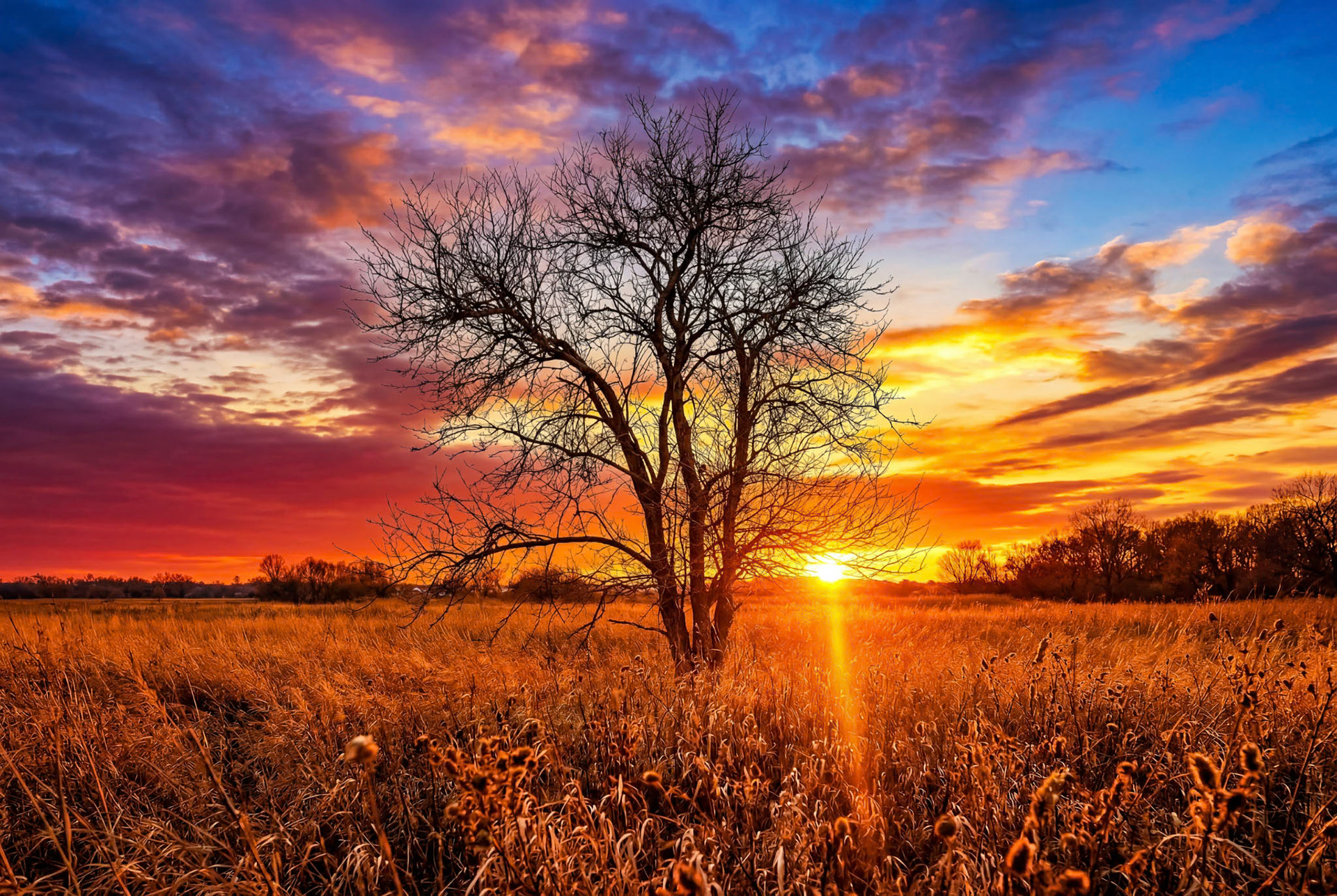 Golden Hours Last Glimmer