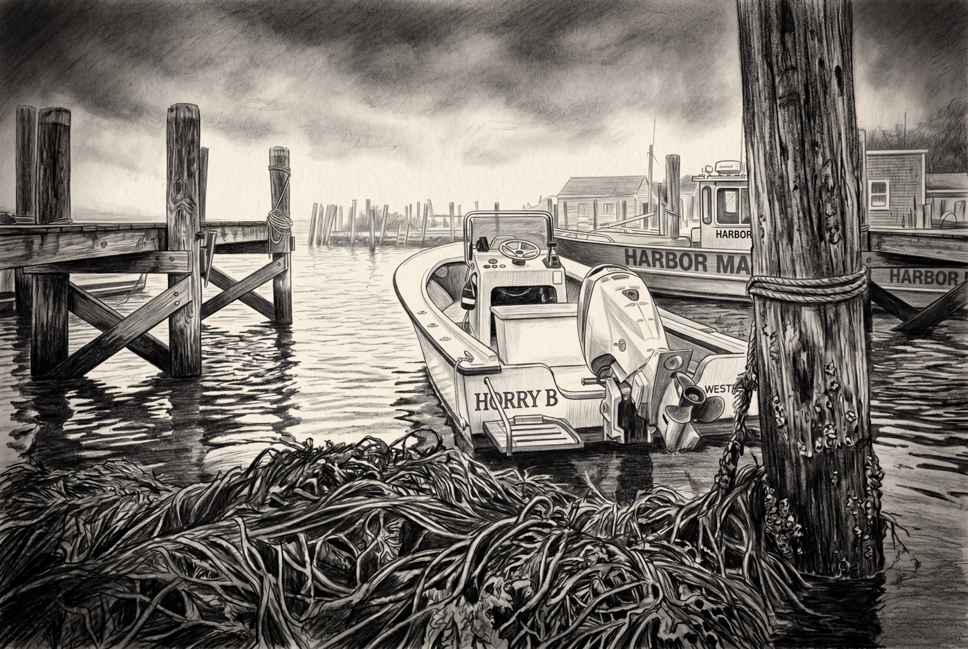 Harbor Quietude