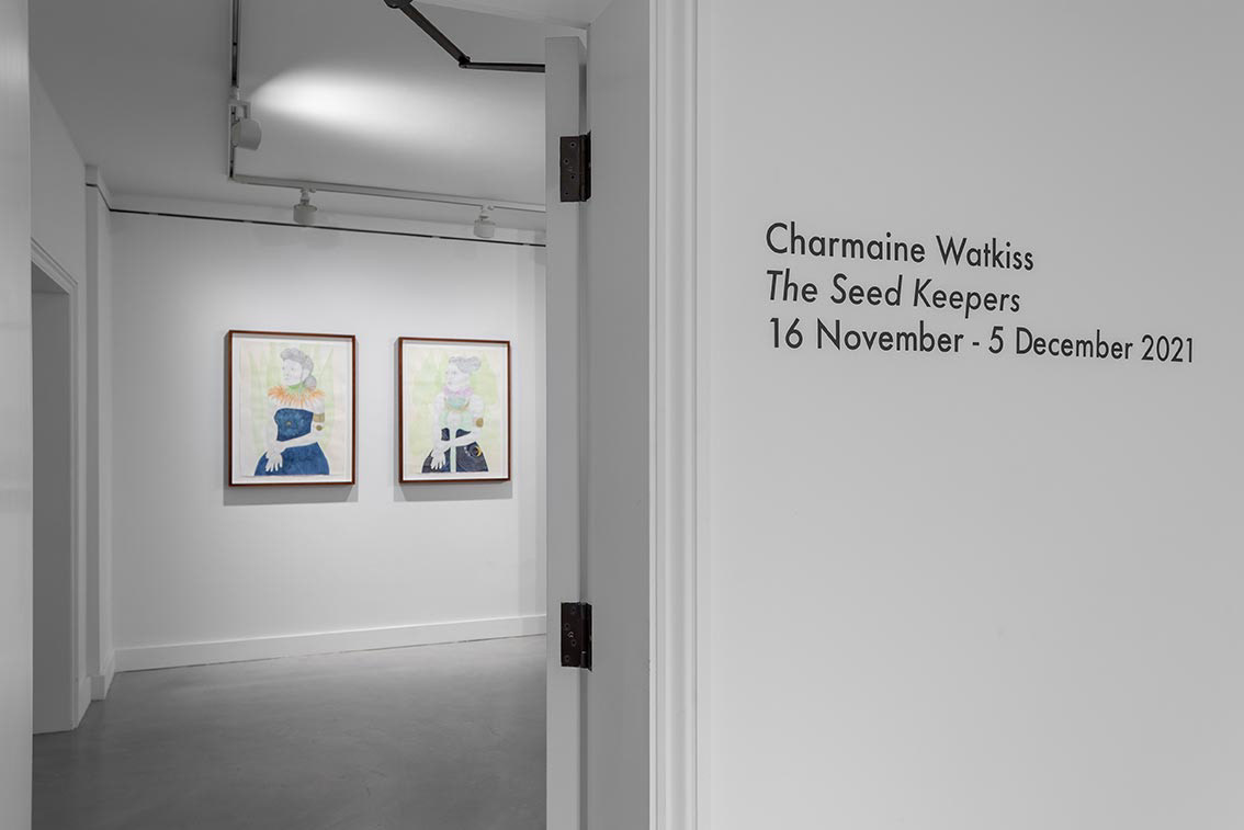 Botanical Legacies, afrofuturist botany, ethnobotany, emancipatory art