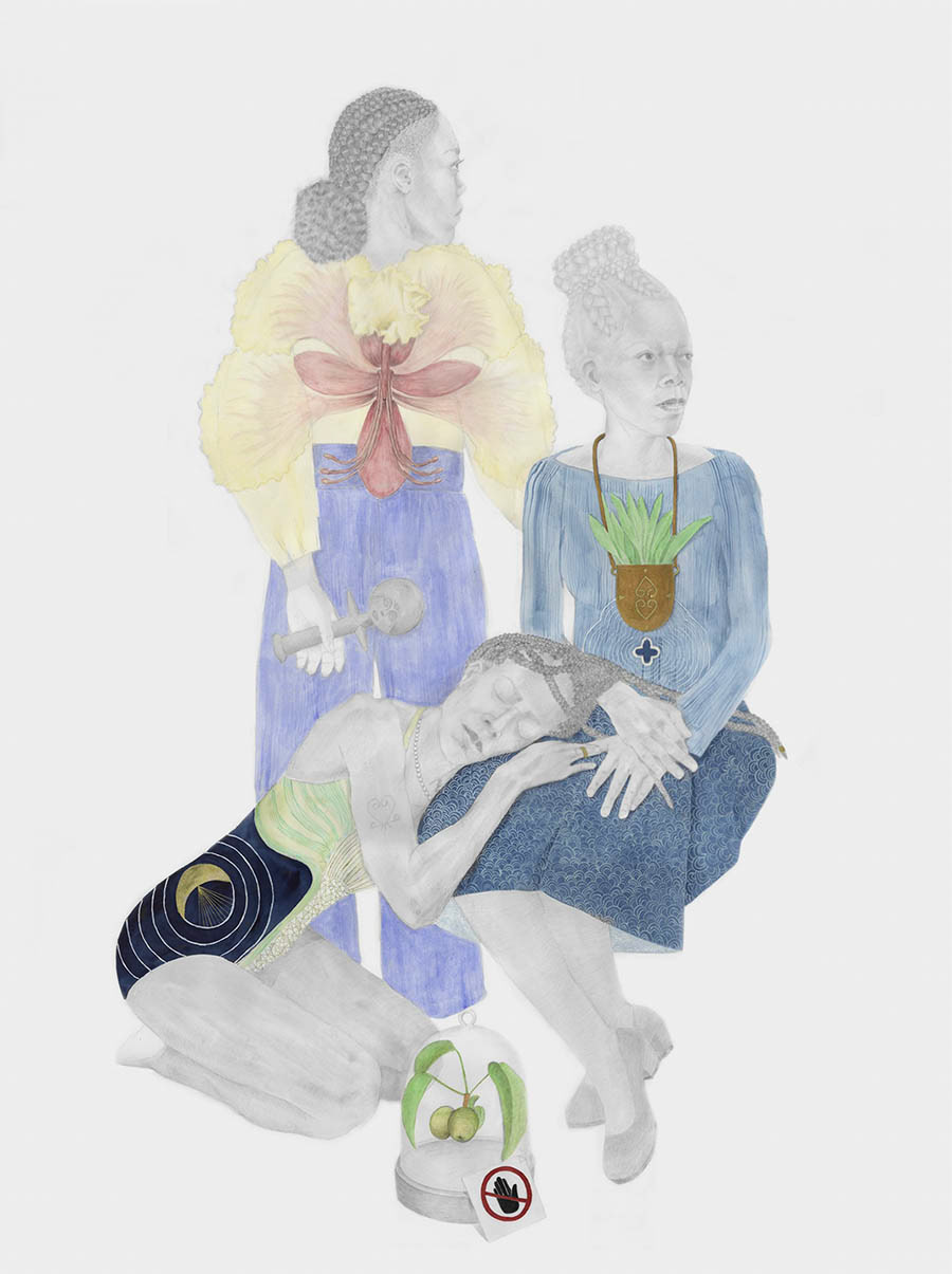 Ethnobotany art, artist working with plants, ancestral healing traditions
