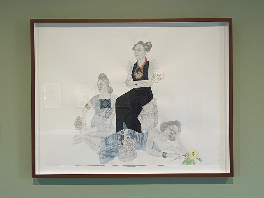 Emancipatory art, contemporary drawing, ethnobotanical art