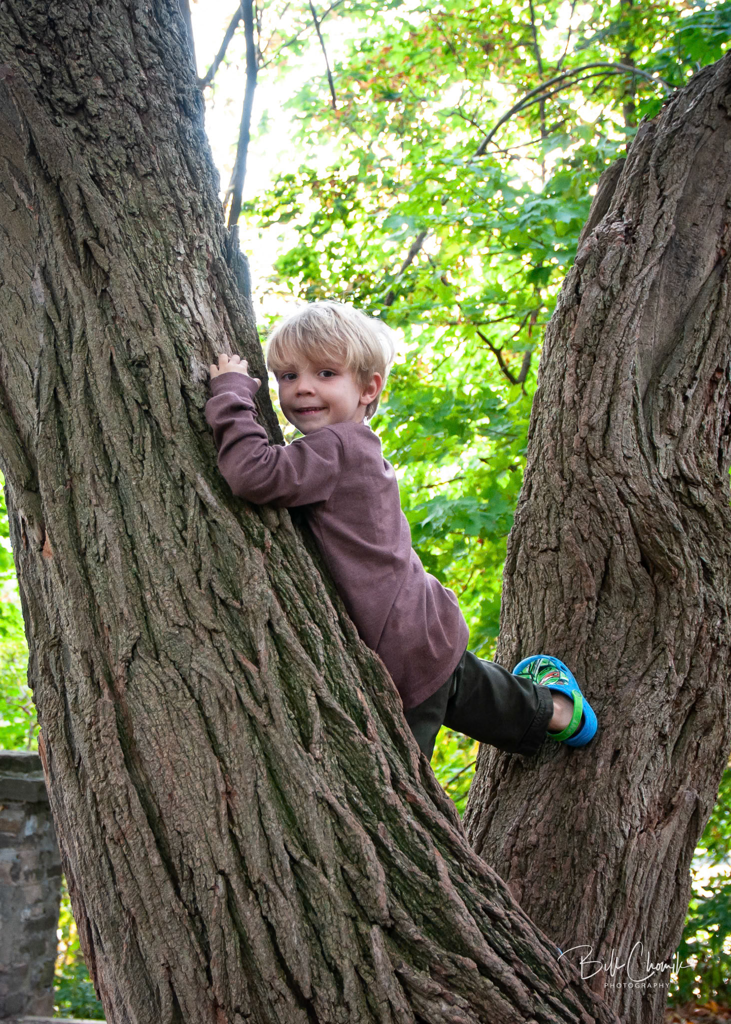 Family Pics at Lakeside Park, Navy St. Oakville