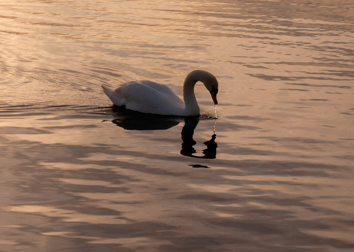 Sunset at Hamilton Harbor near Canada Inland Waters Eastport Drive