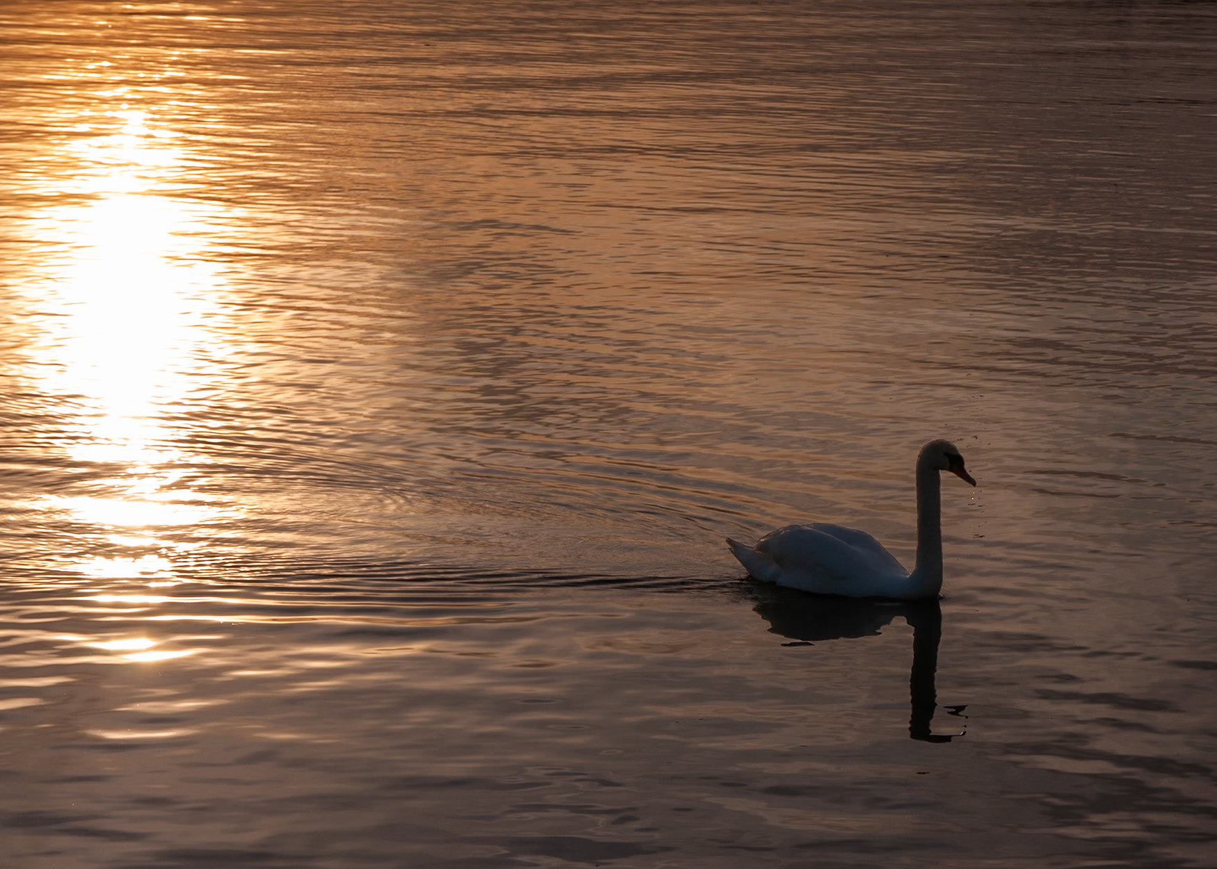 Sunset at Hamilton Harbor near Canada Inland Waters Eastport Drive