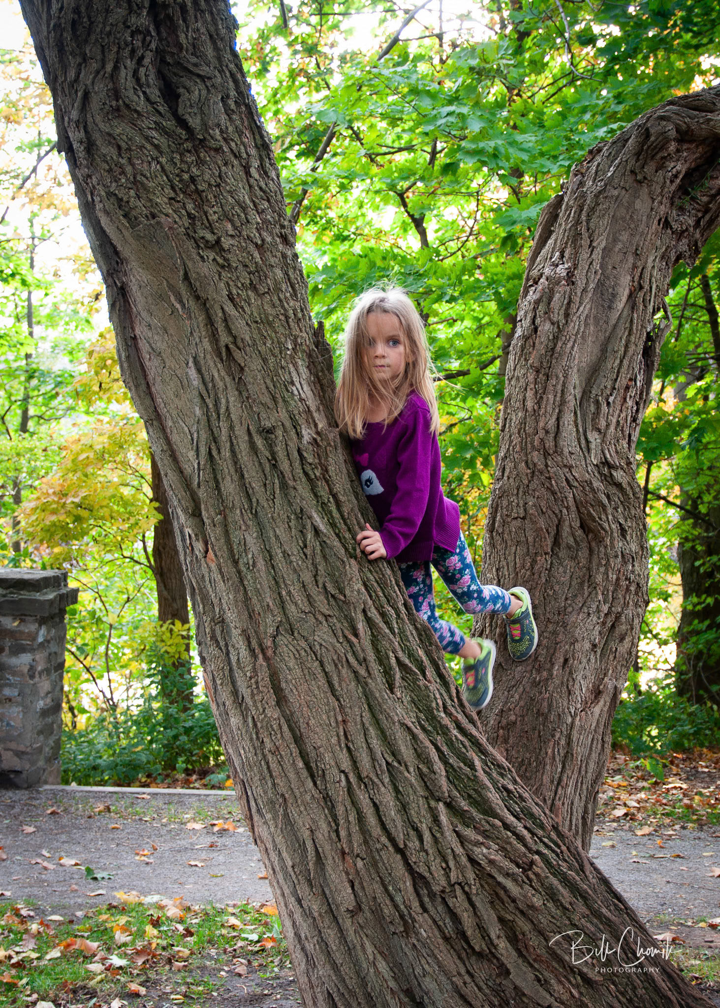 Family Pics at Lakeside Park, Navy St. Oakville