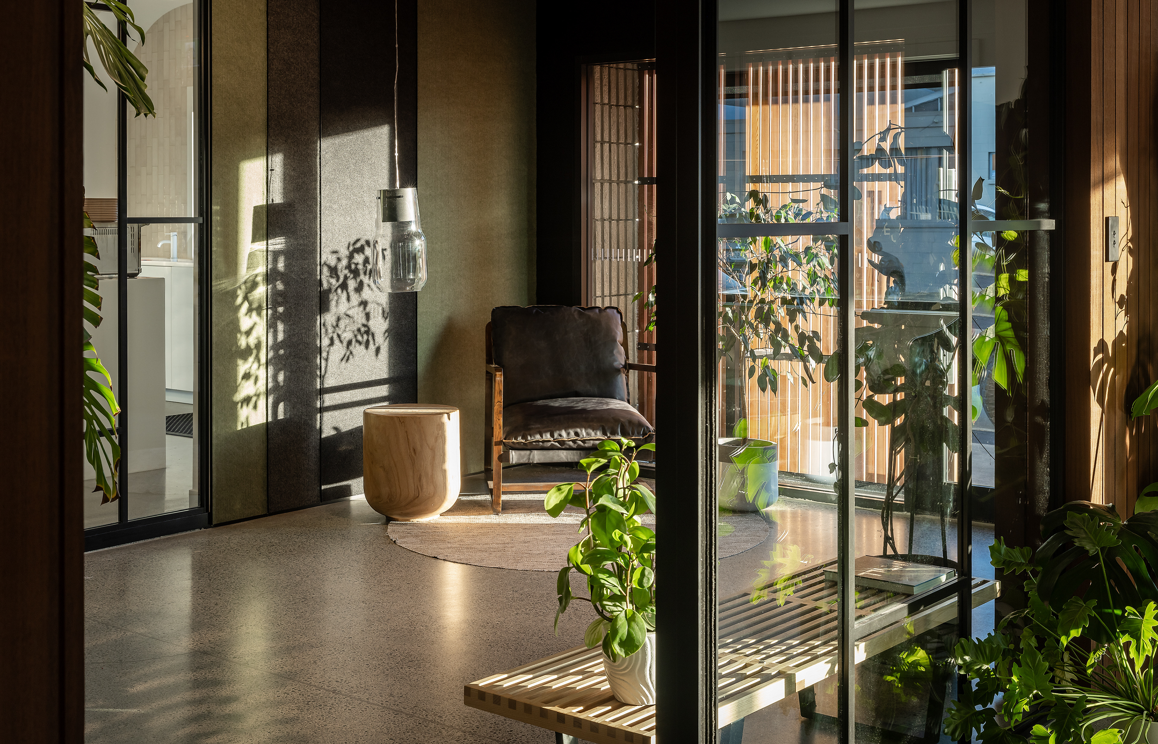 Award-winning office space by Threefold Architecture in Christchurch, warm contemporary interior with indoor planting, timber detailing and natural afternoon light