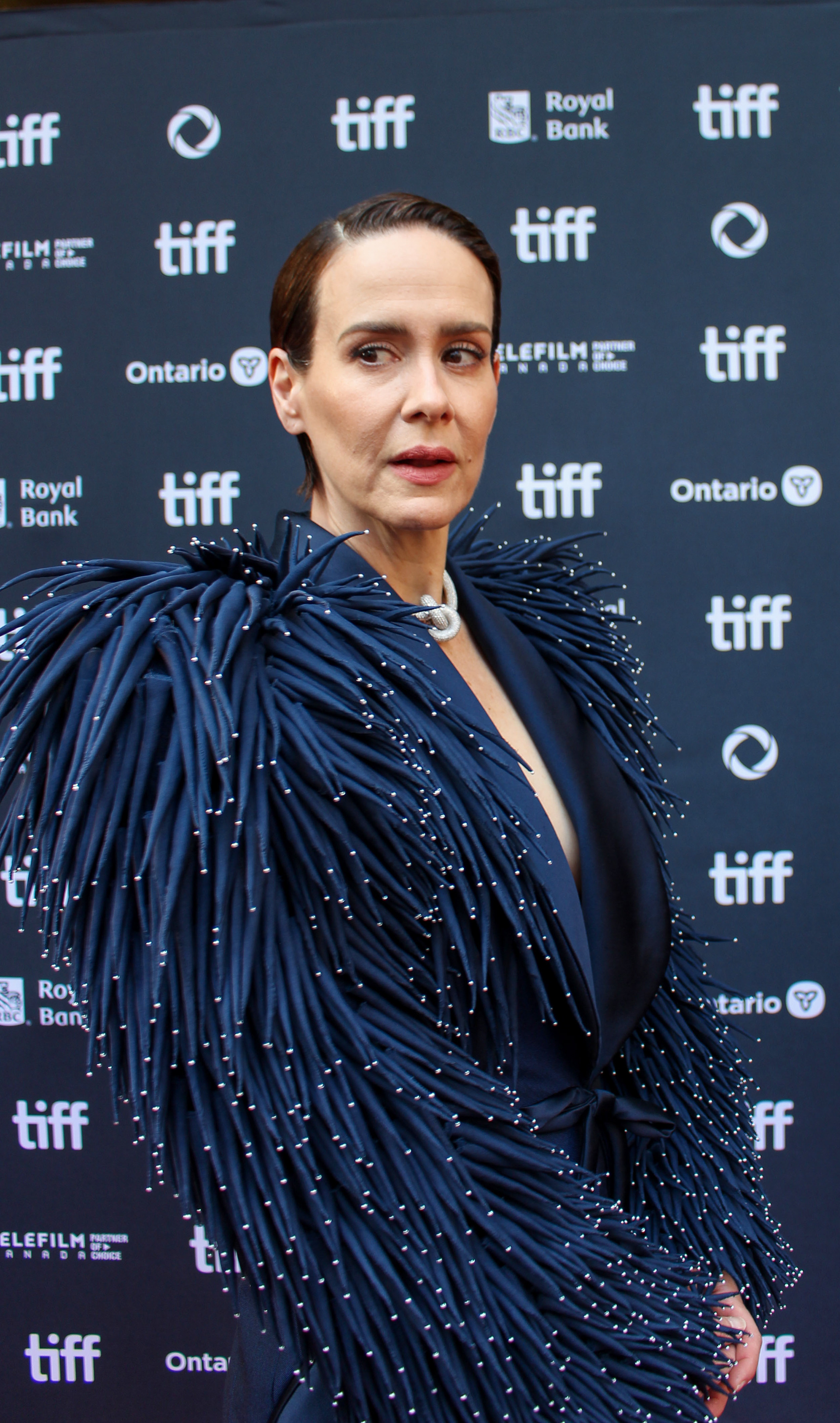 Sarah Paulson, Cast