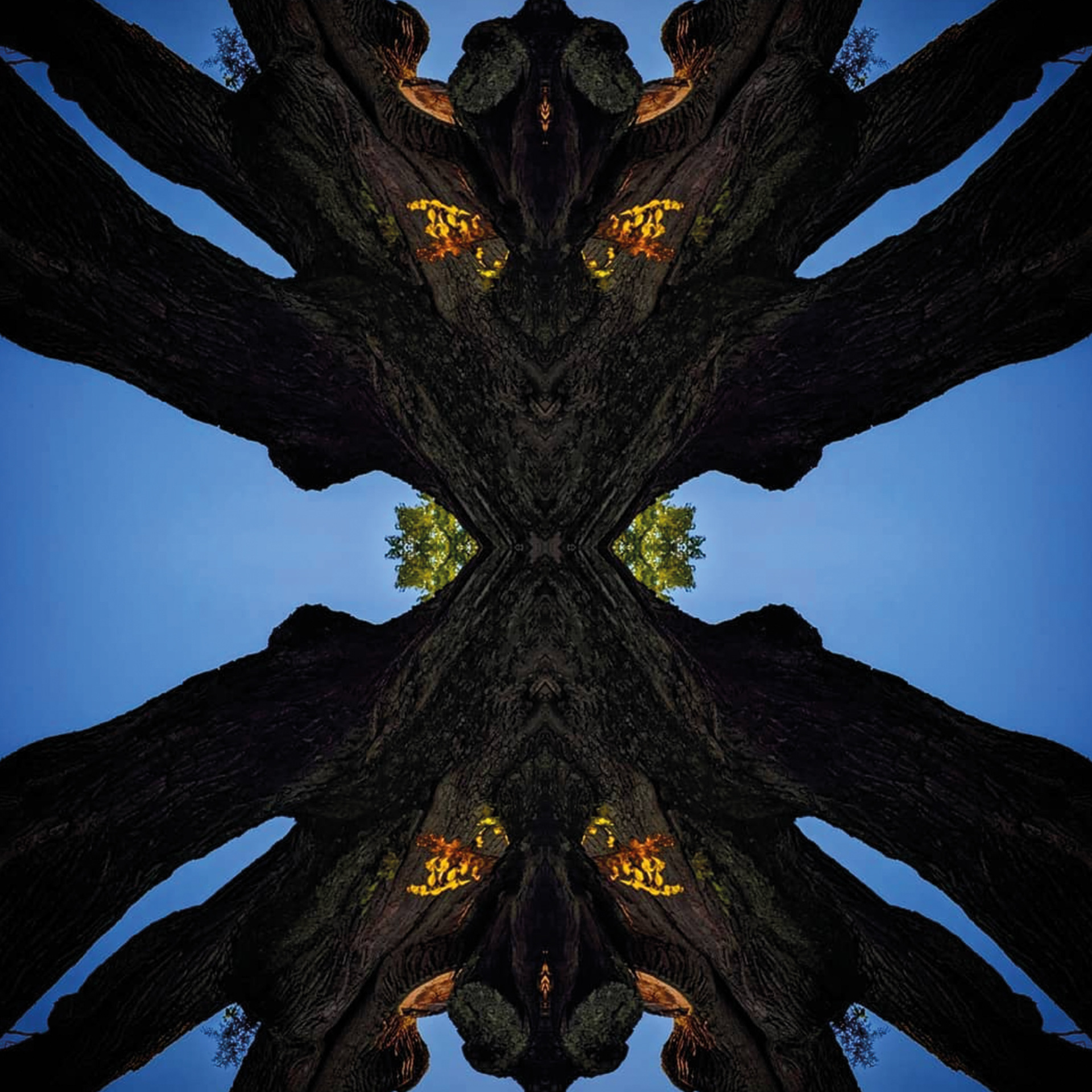 Diaper sin is repaid