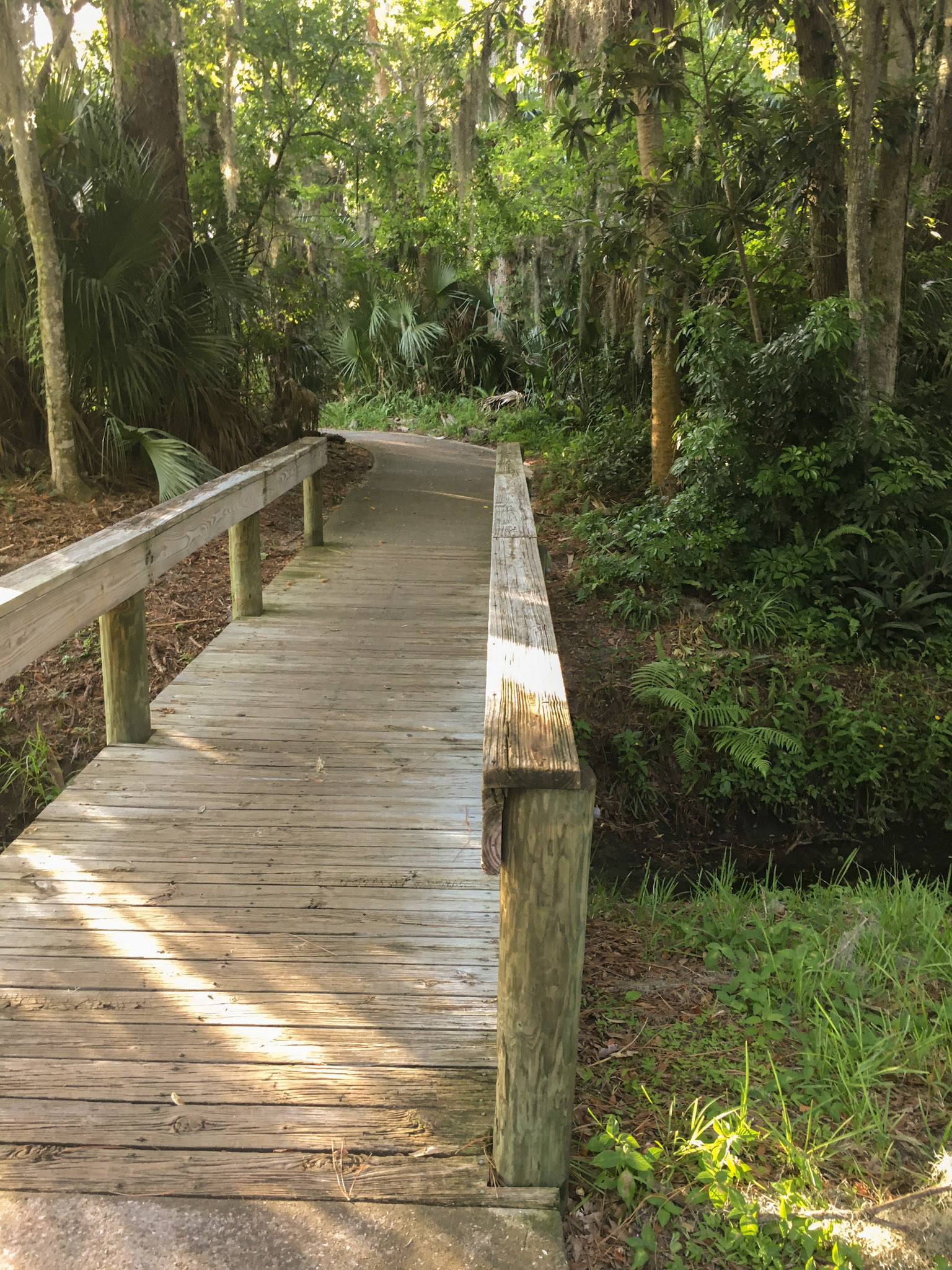 Trail in Central Park, Ormond Beach
