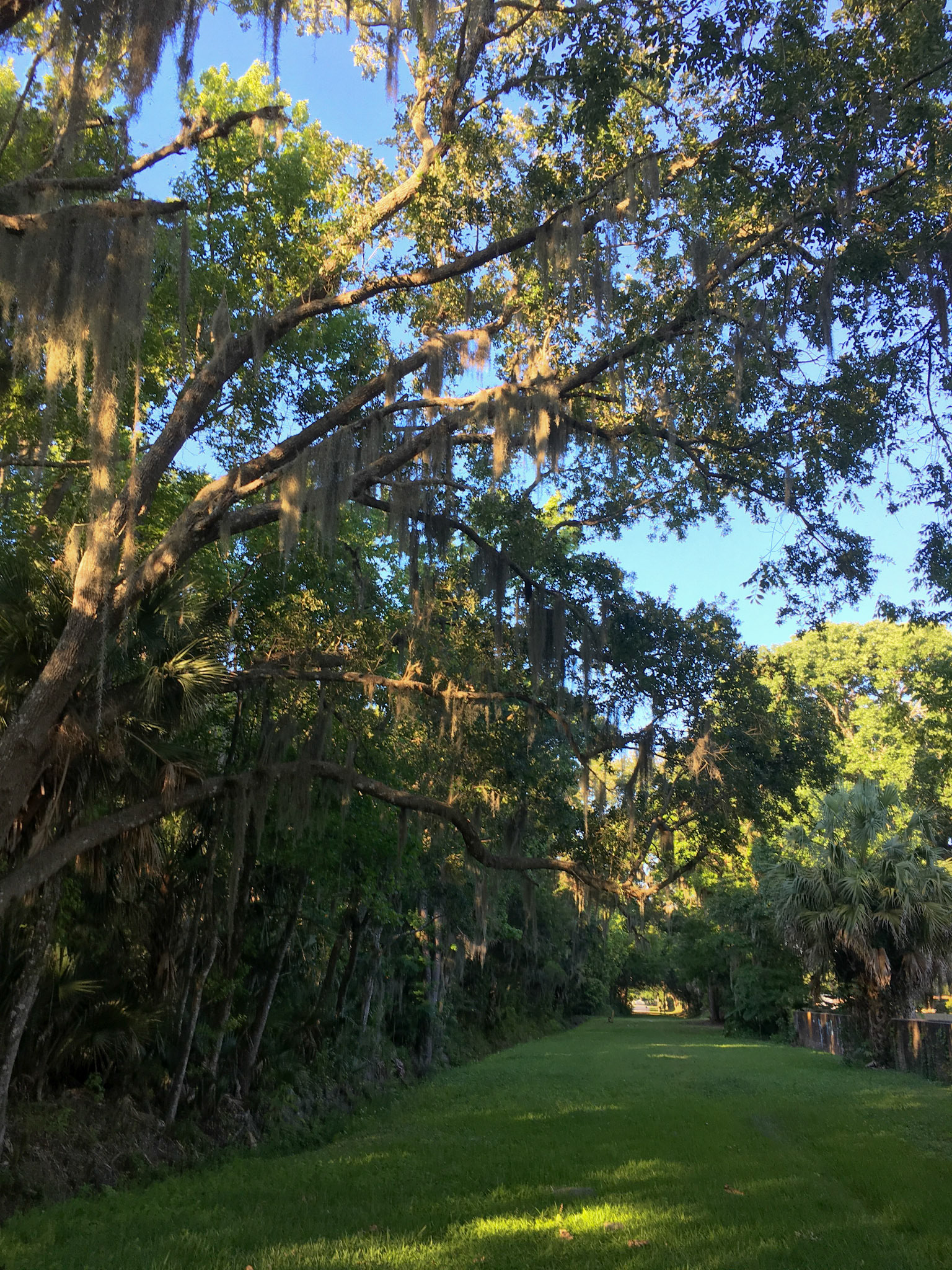 Green connection between Nova Canal Path and Shady Pl, Daytona Beach