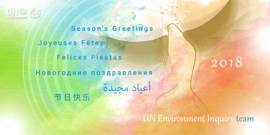 >> 2017-2018​ UNEP Inquiry