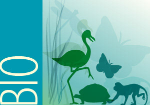 >>  UNDP-GEF 2009