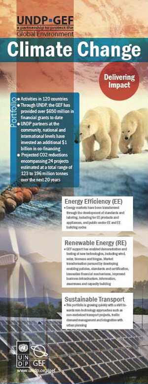 >> UNDP- GEF 2006