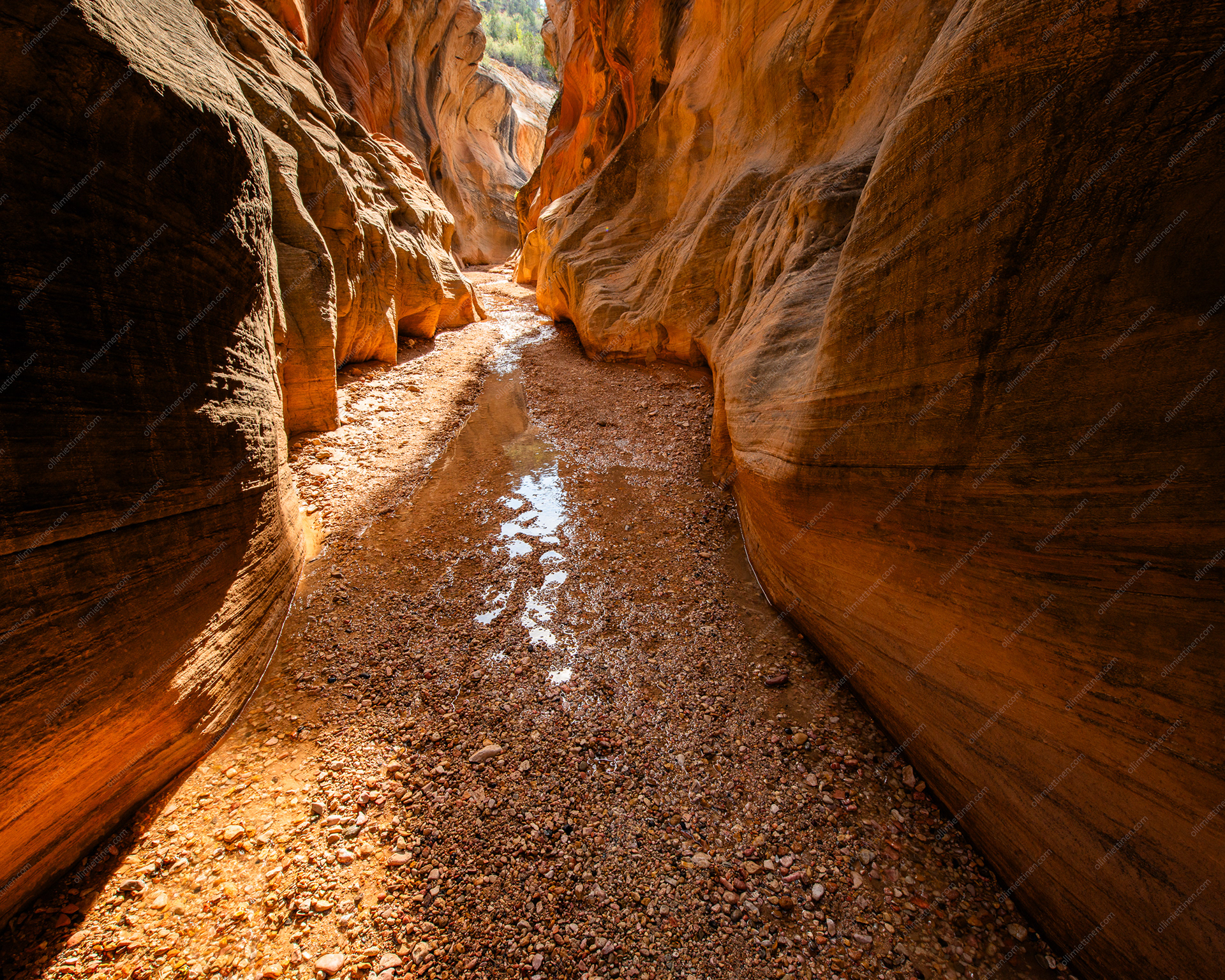 Willis Creek Narrows