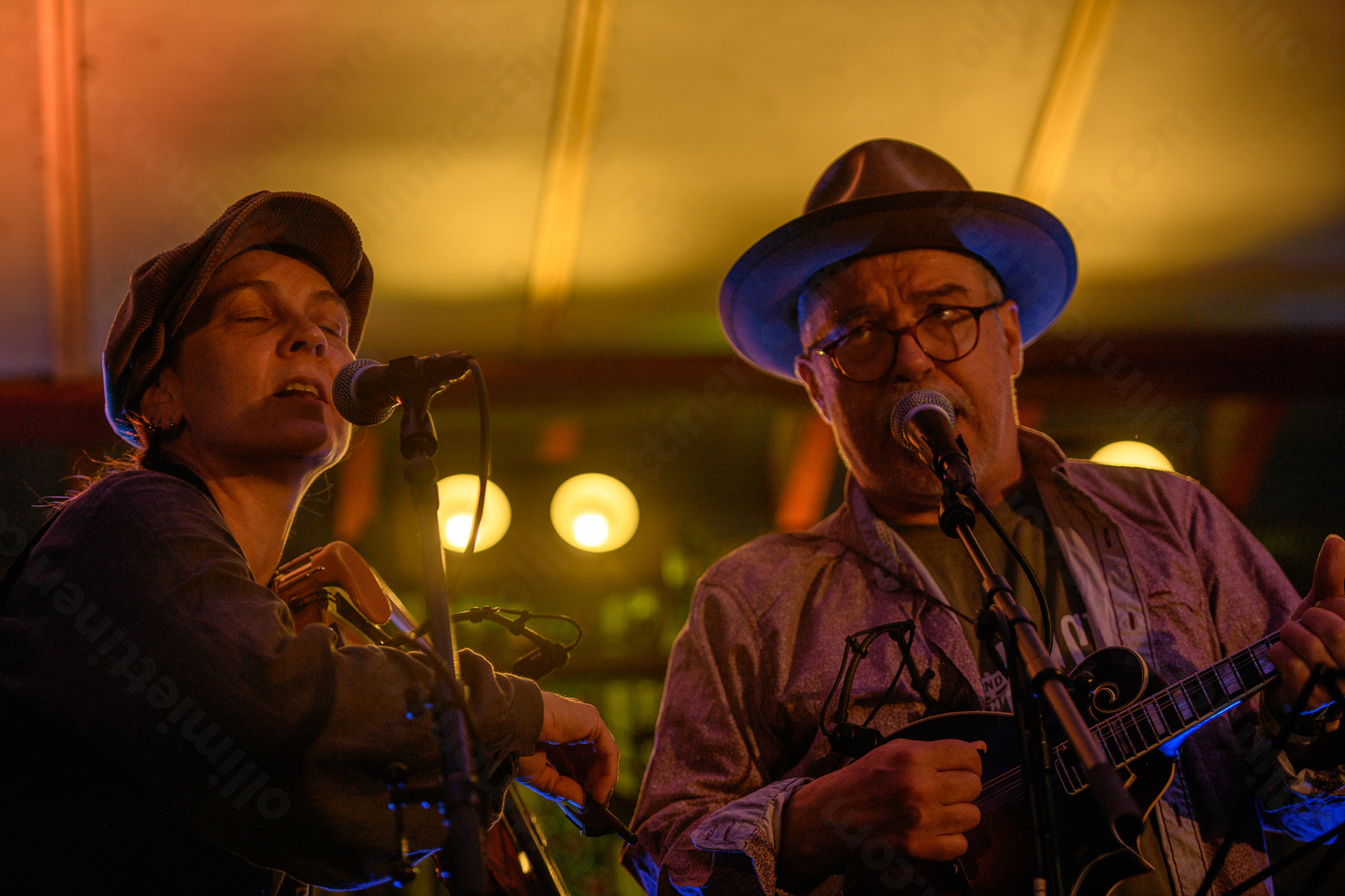 Wasel & the Weasels
