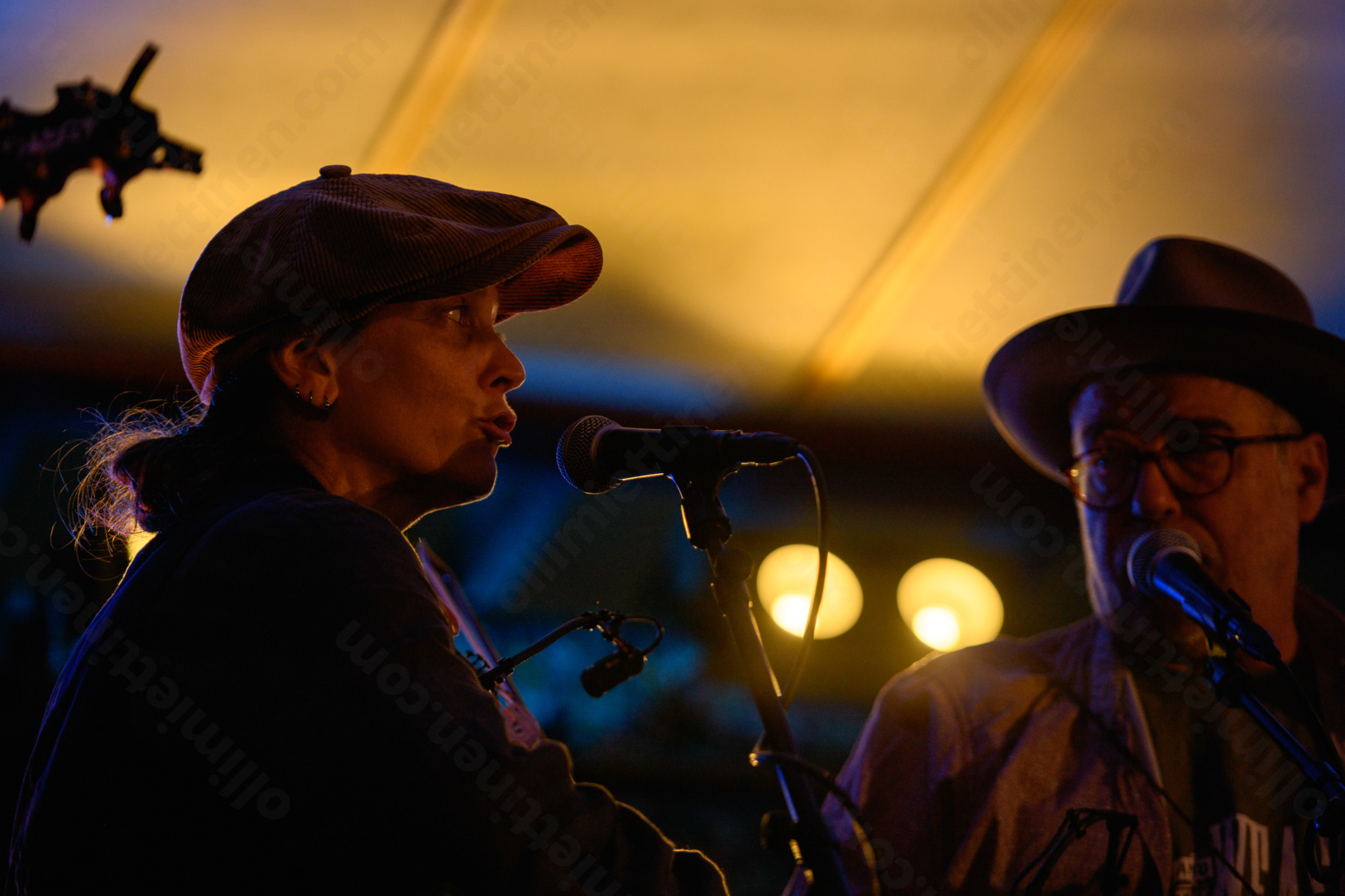 Wasel & the Weasels