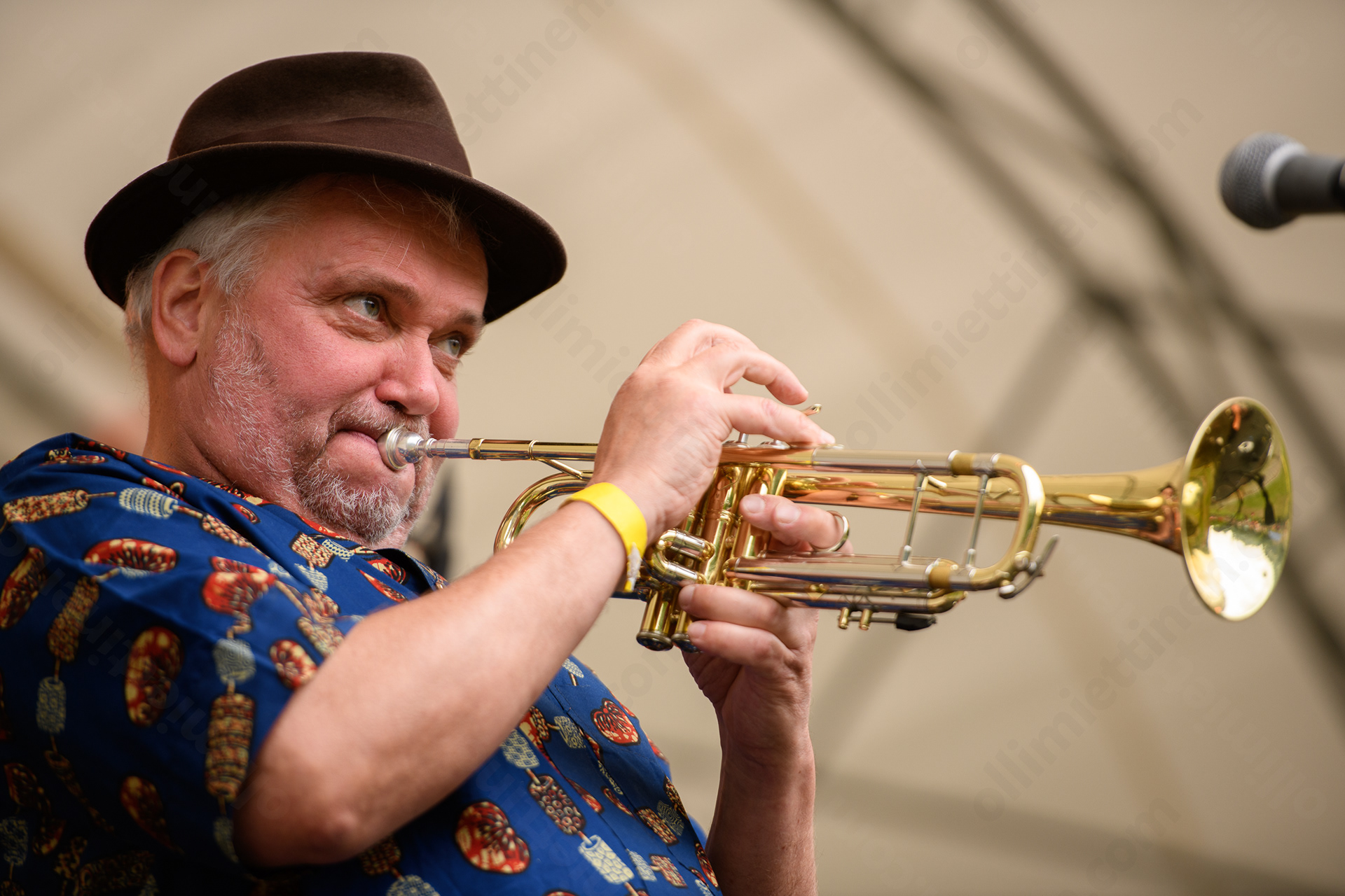 Afrojazz Quintet feat. Emilia Sisco / Afrojazz Club goes Alppipuisto, July 9