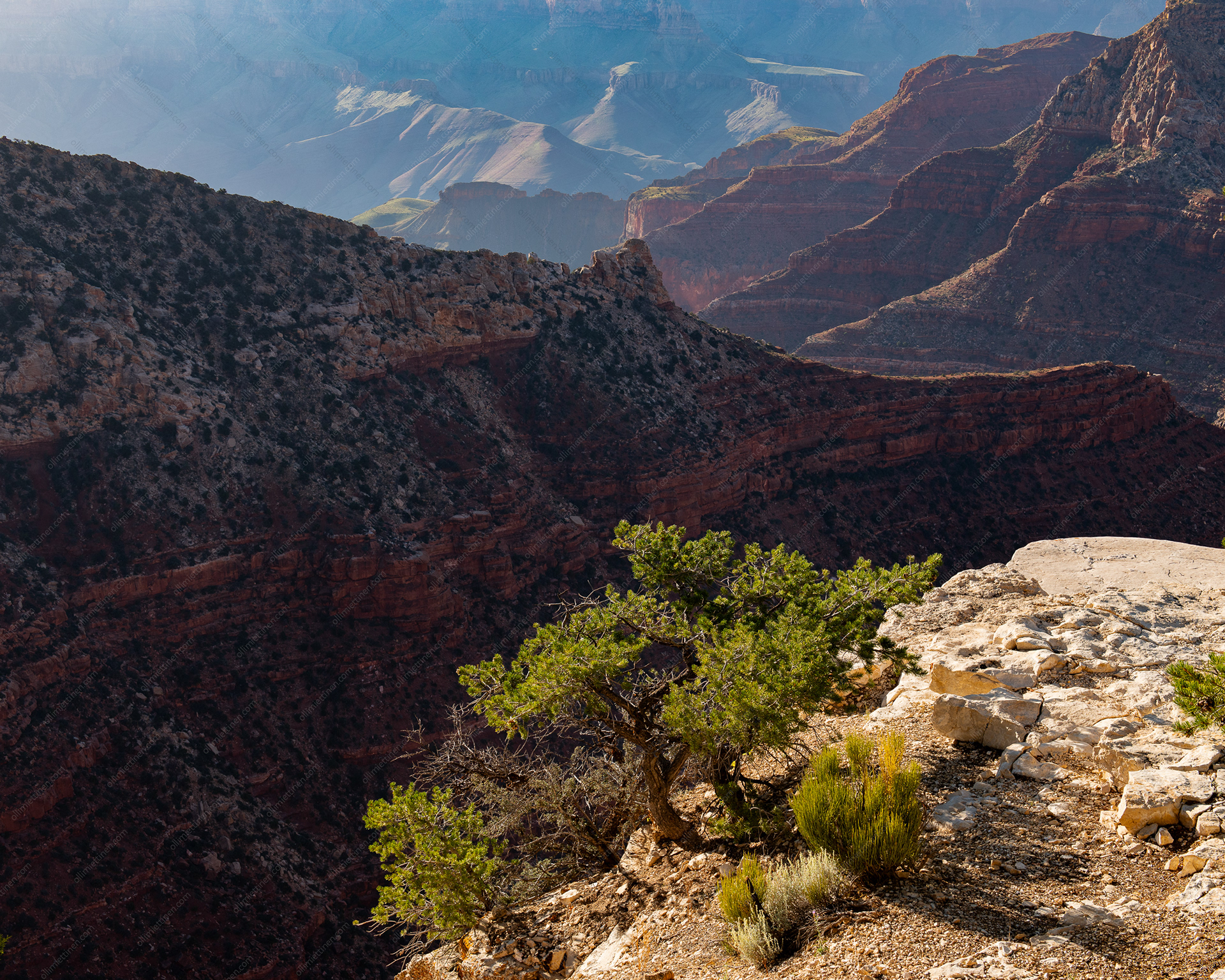 Grand Canyon North Rim