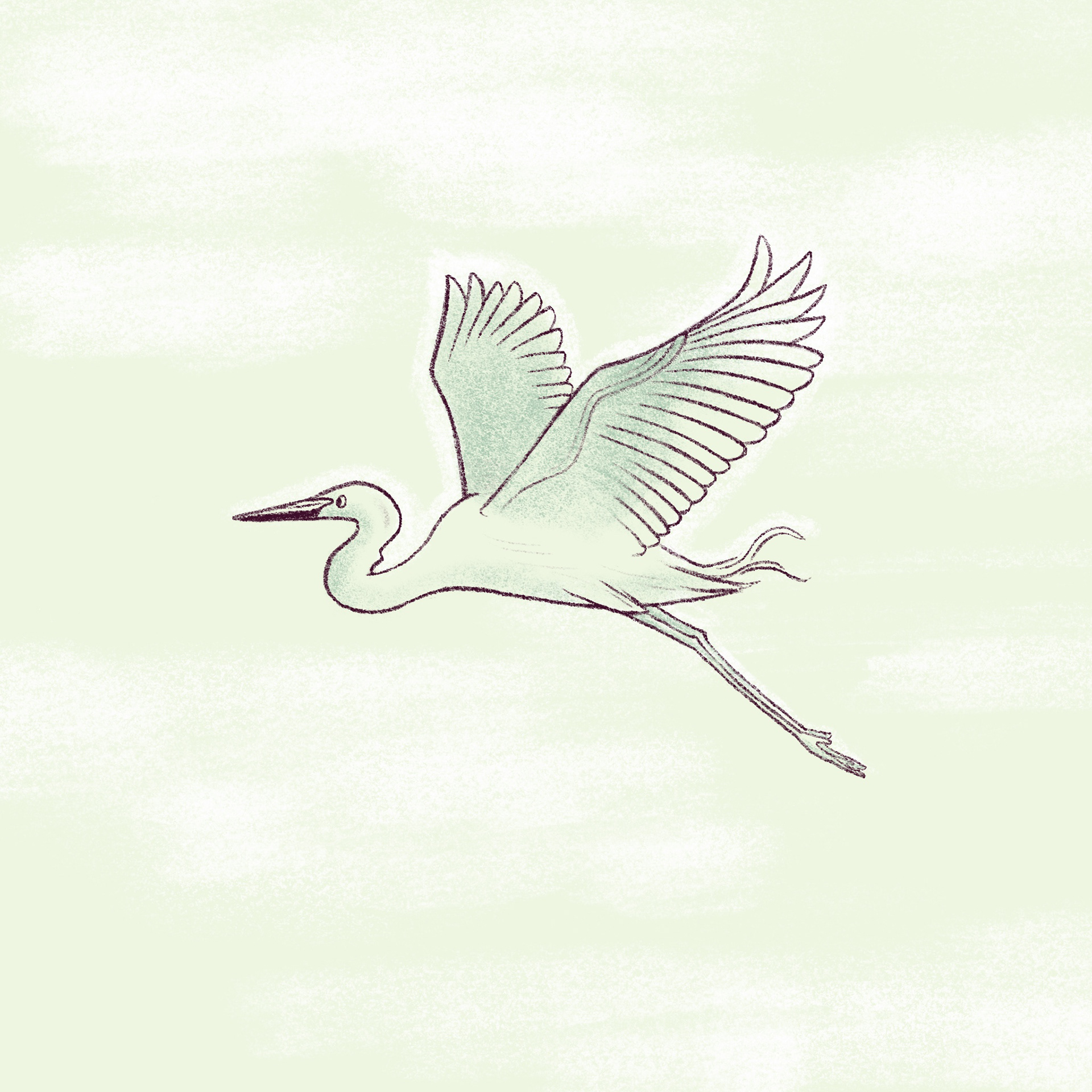Crane - Digital illustration