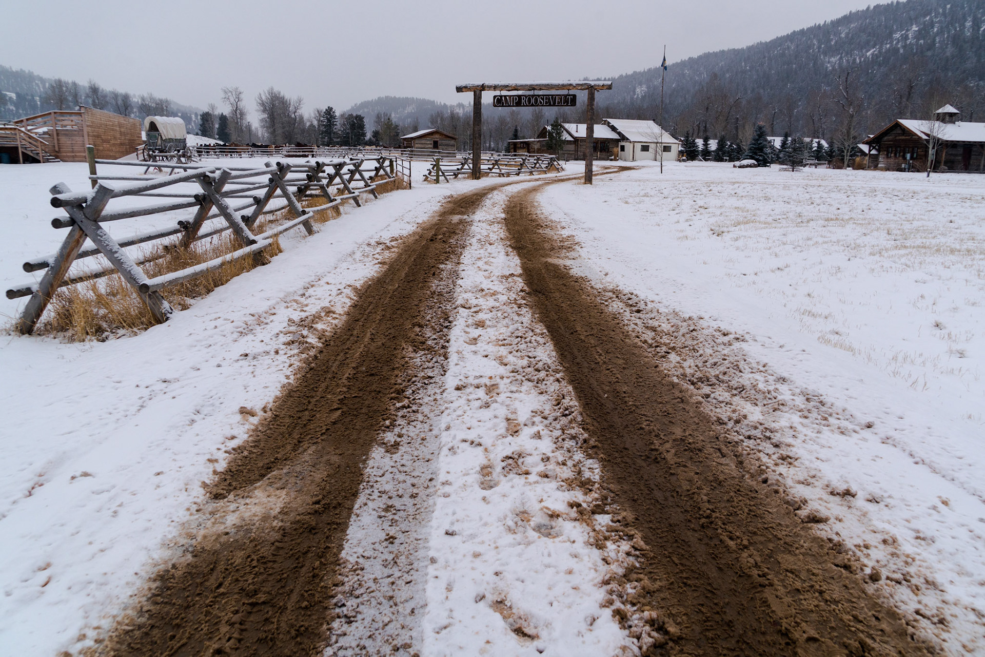 Montana