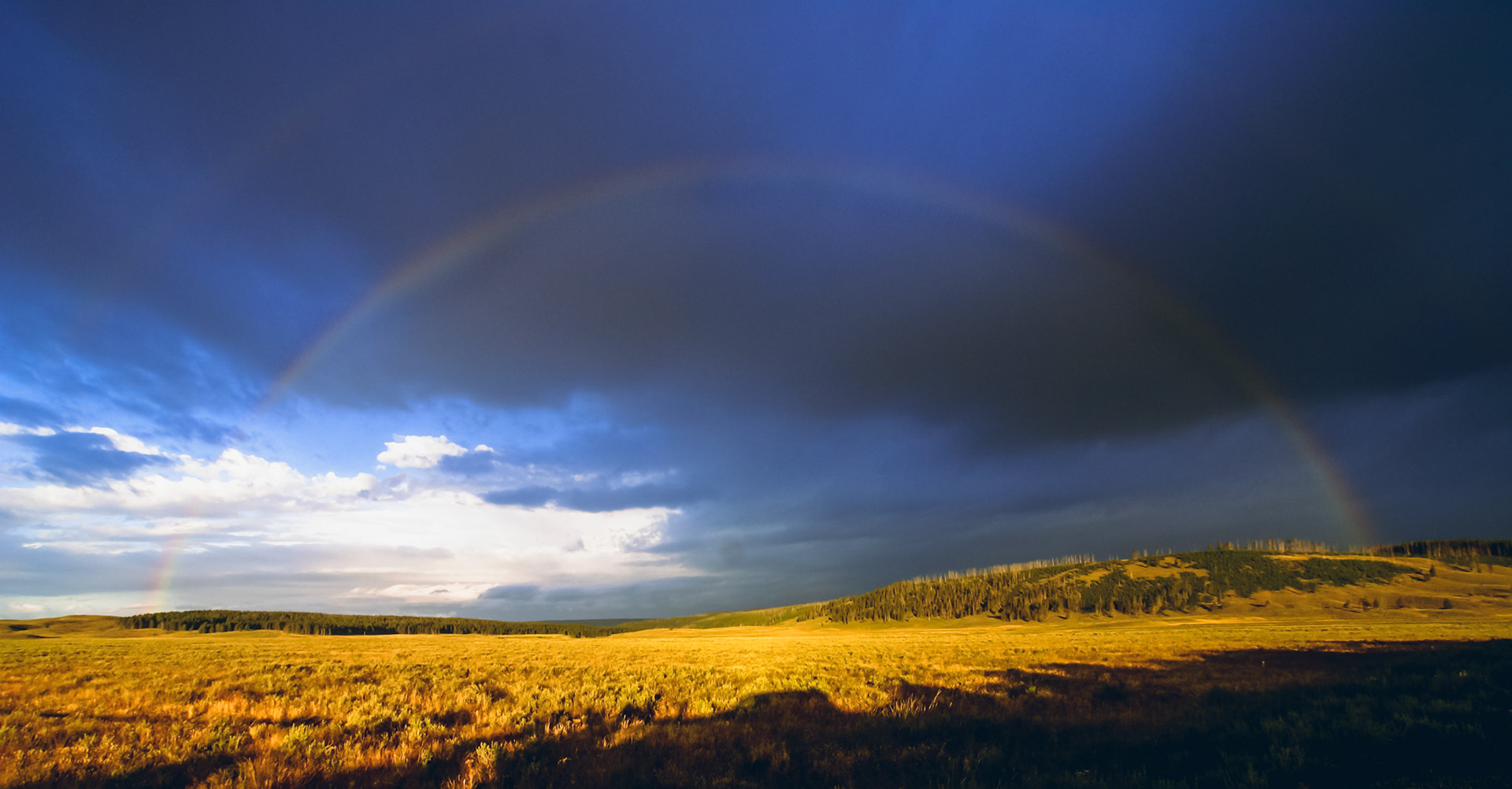 A dramatic double rainbow appears over Hayden Valley at sunrise.
