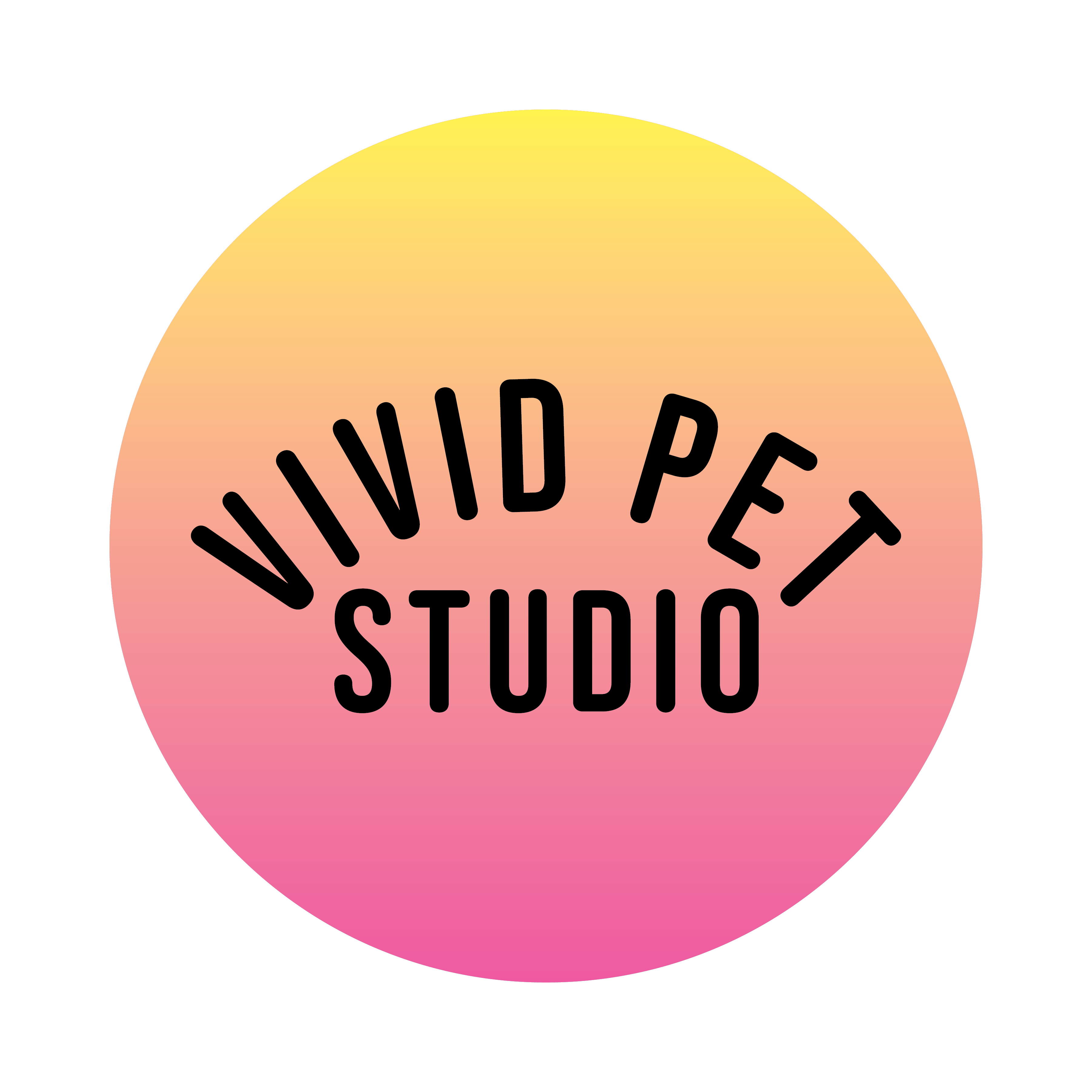 Vivid Pet Studio