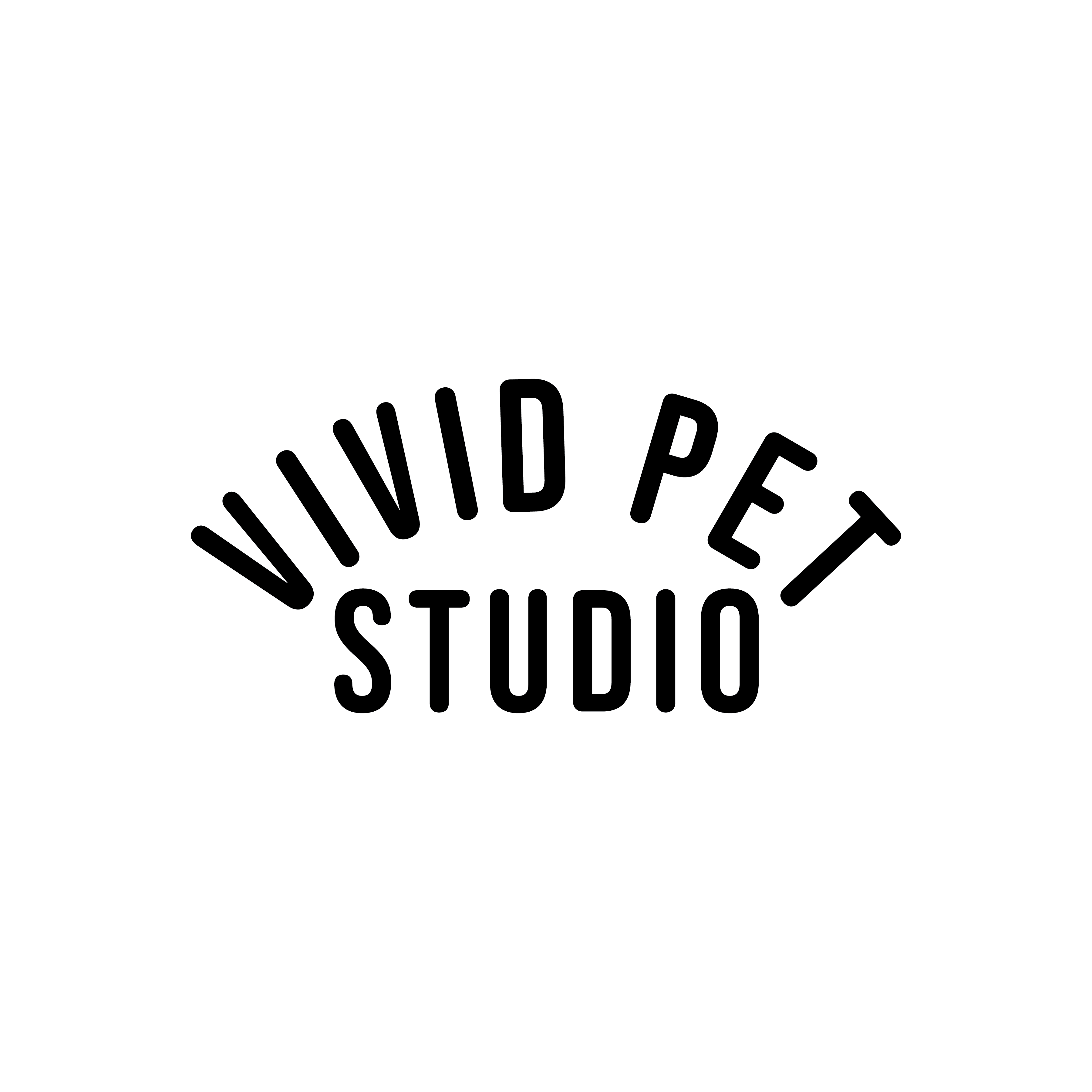 Vivid Pet Studio