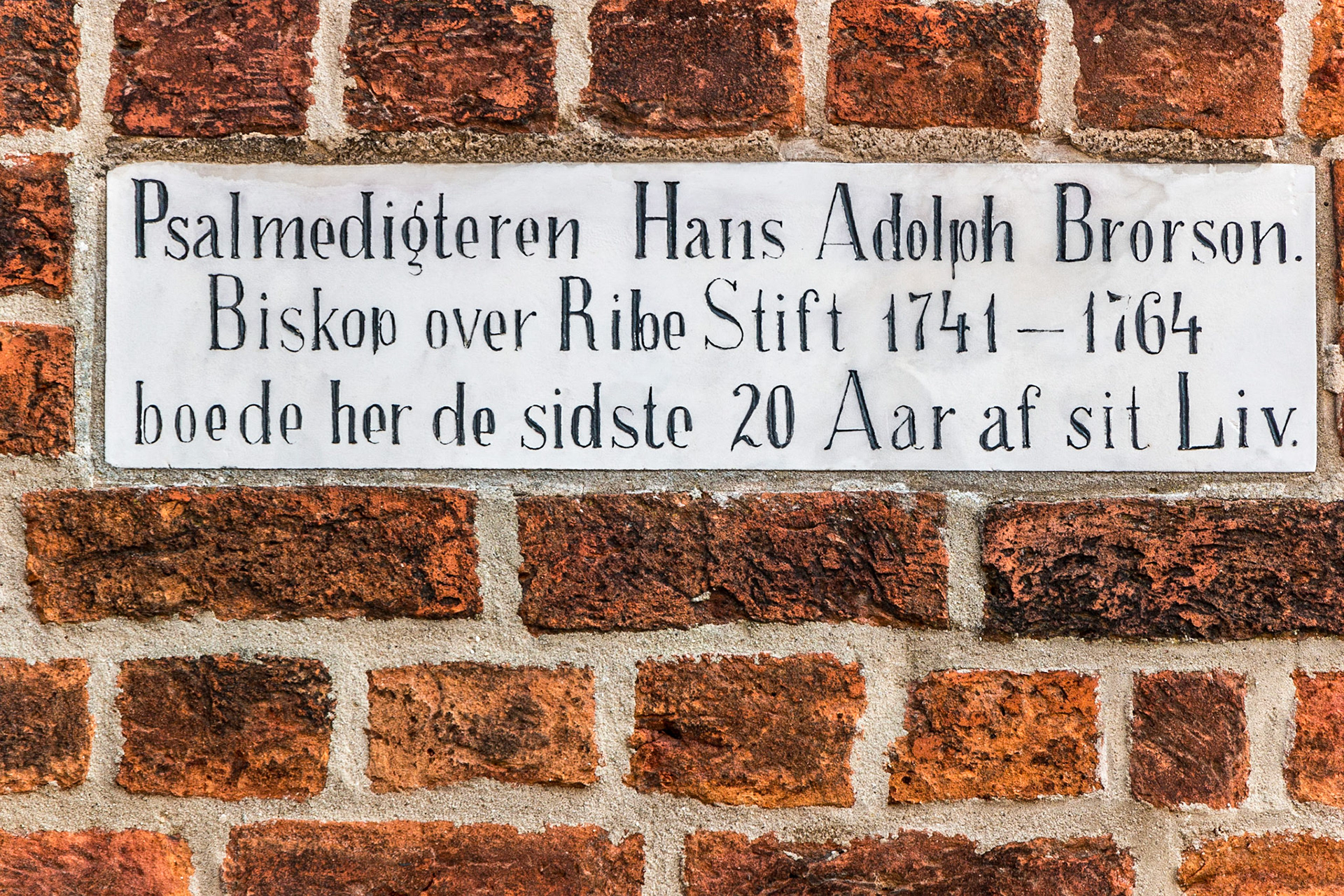 efterår,2014,camping,Ribe,ferie