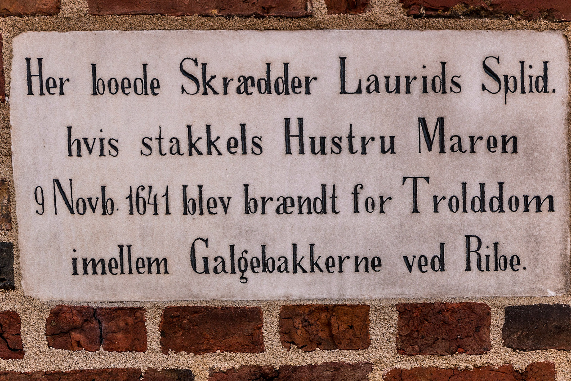 efterår,2014,camping,Ribe,ferie