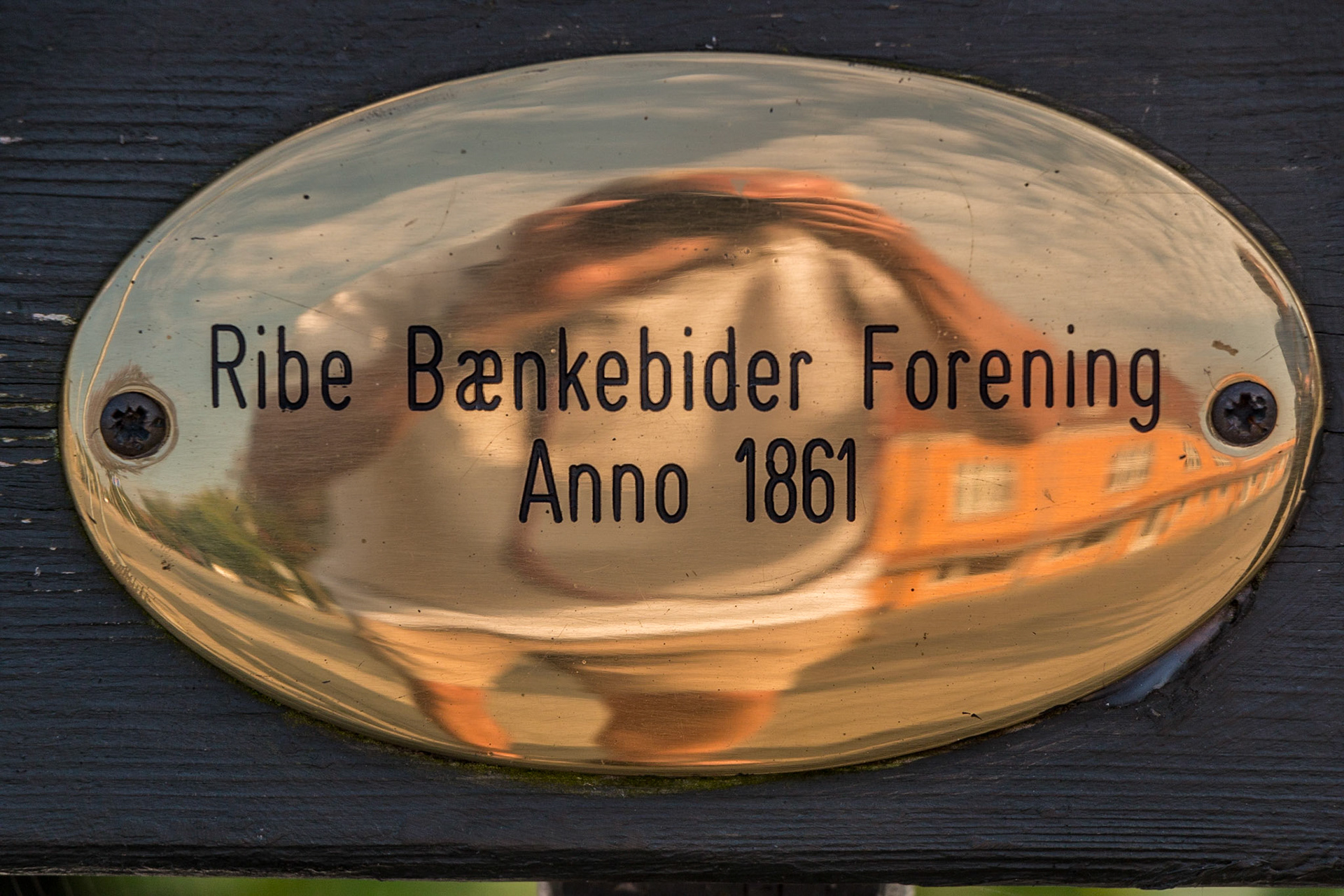 efterår,2014,camping,Ribe,ferie