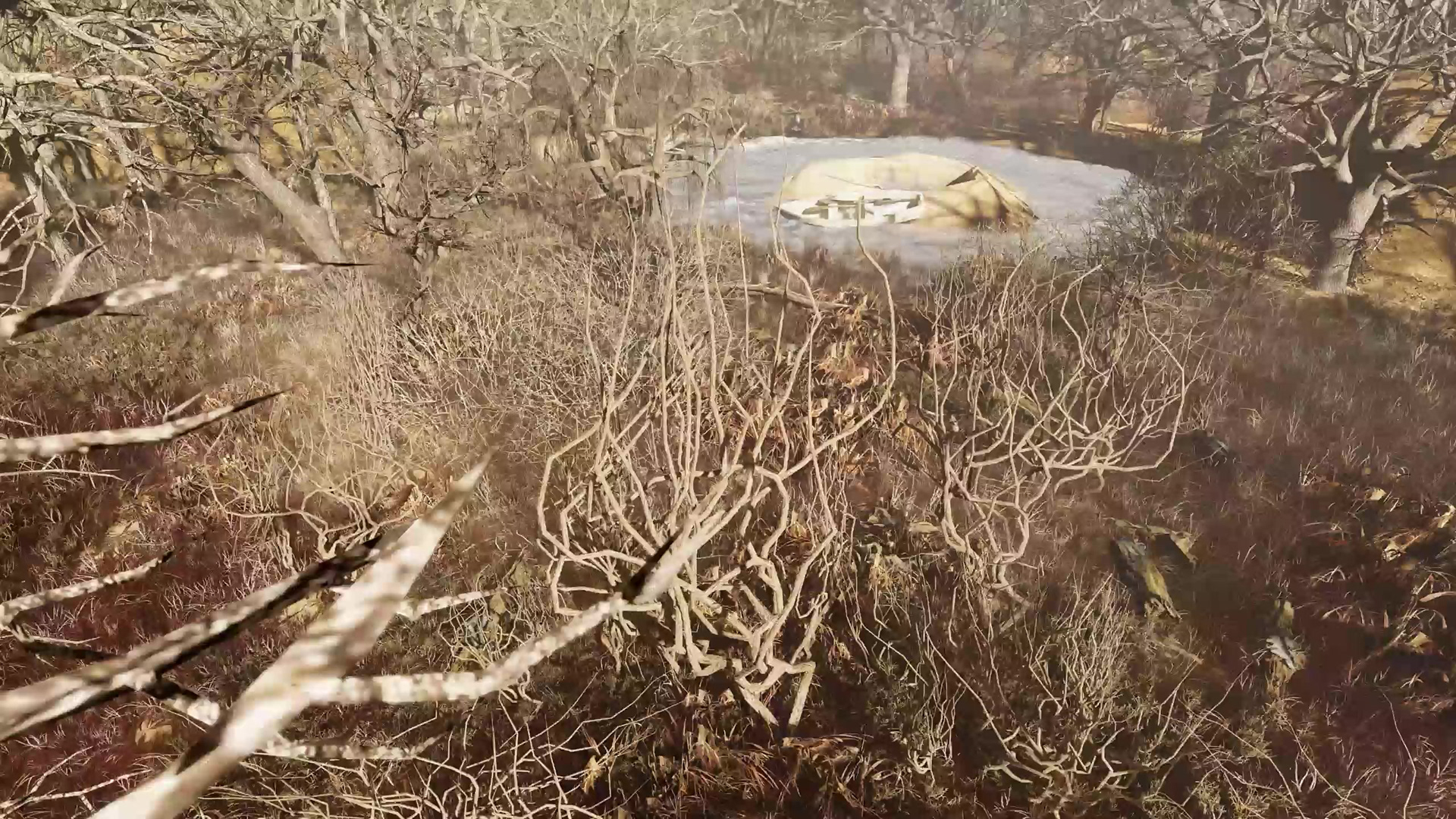 Still de video