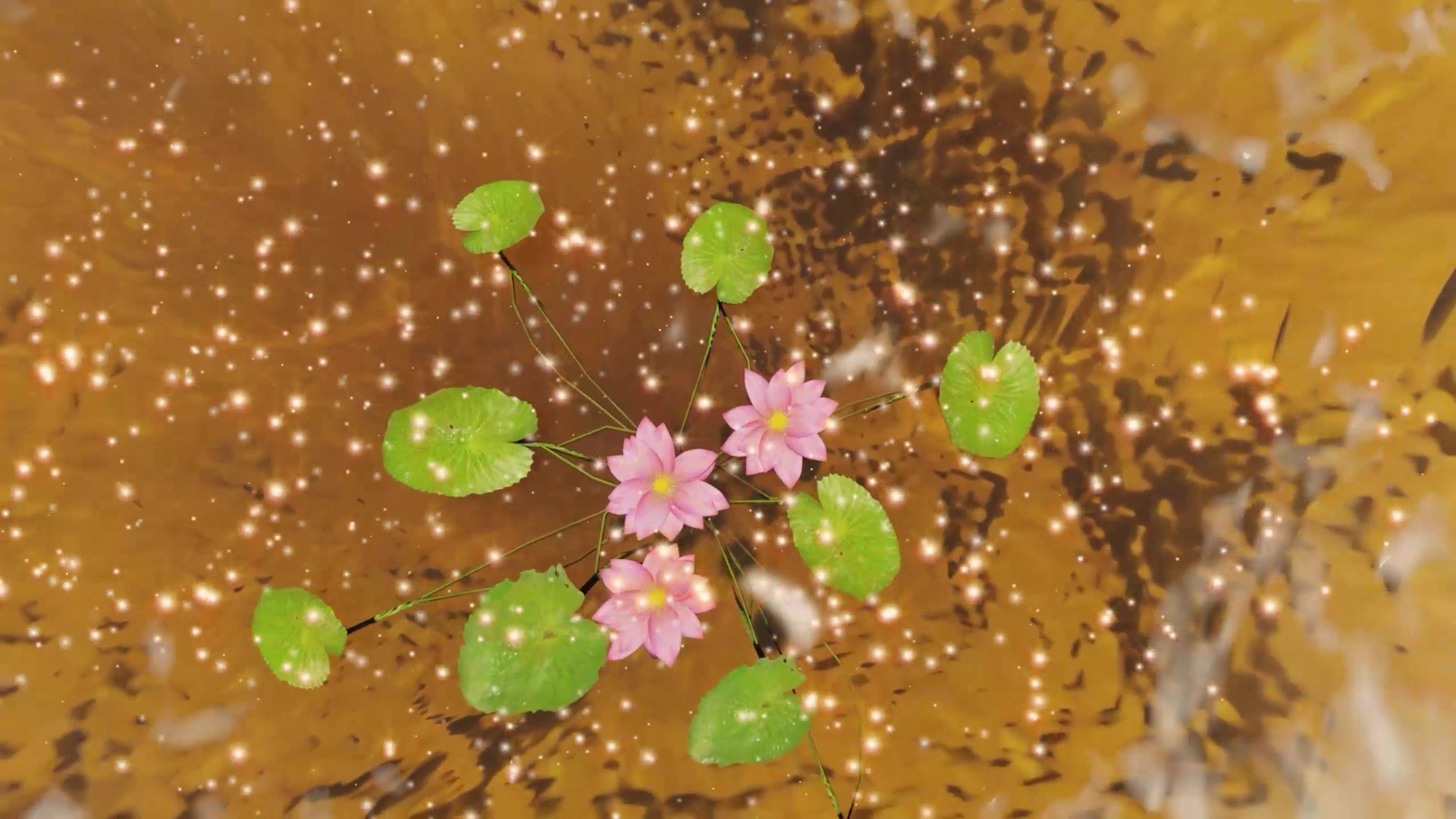 Still de video
