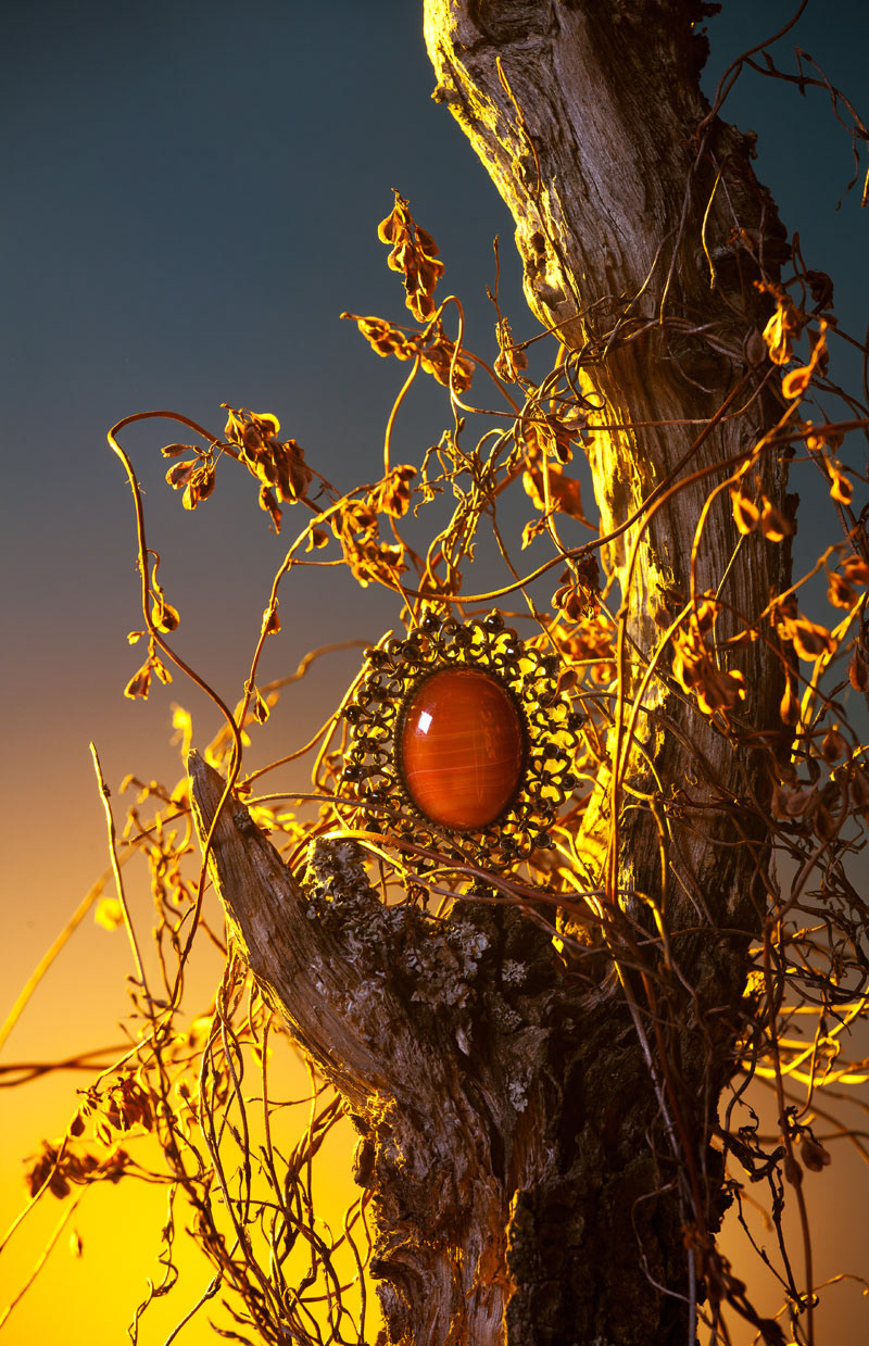 Product, food, studio and advertising photography by #PolozovArts polozovarts.com