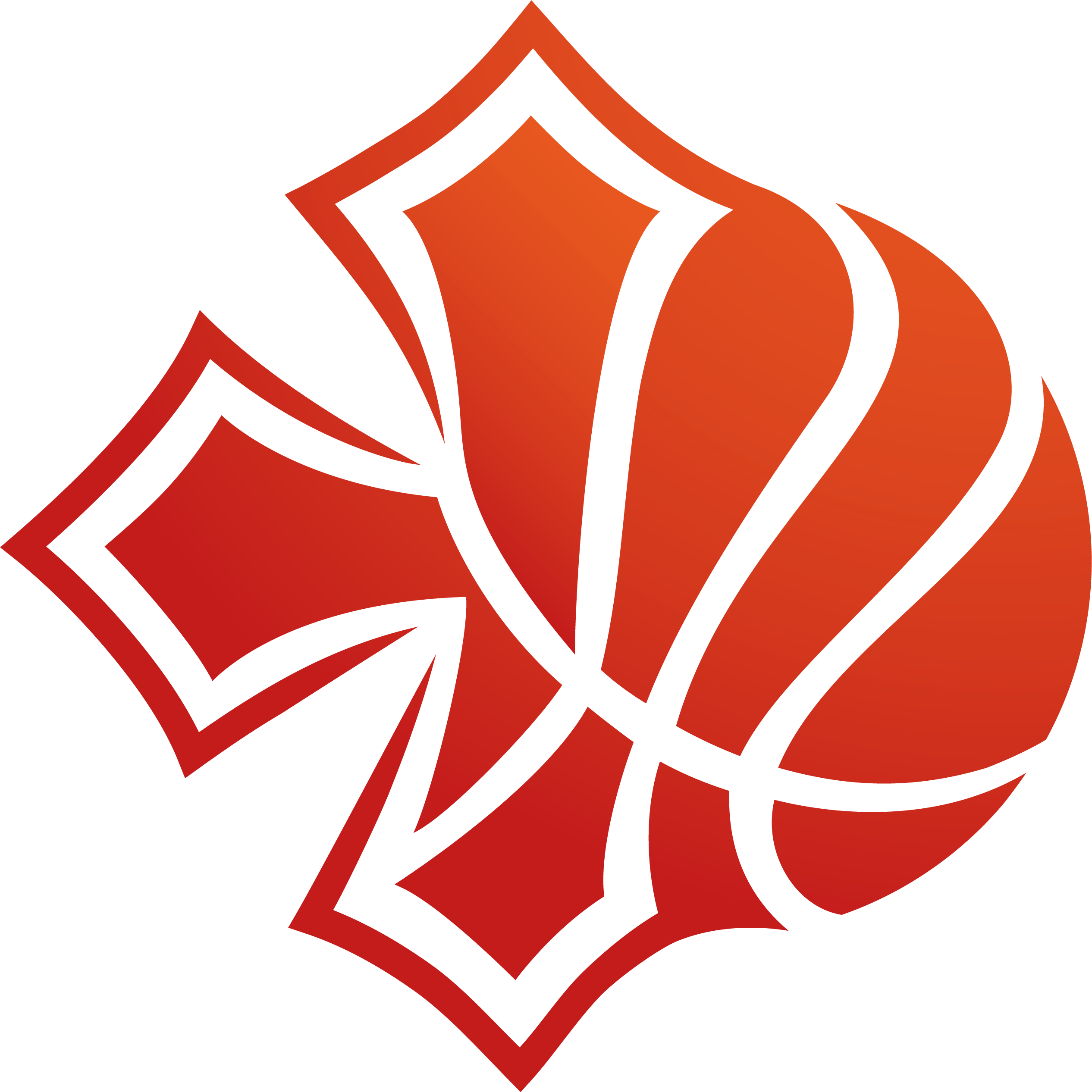 OCCITANIE BASKETBALL