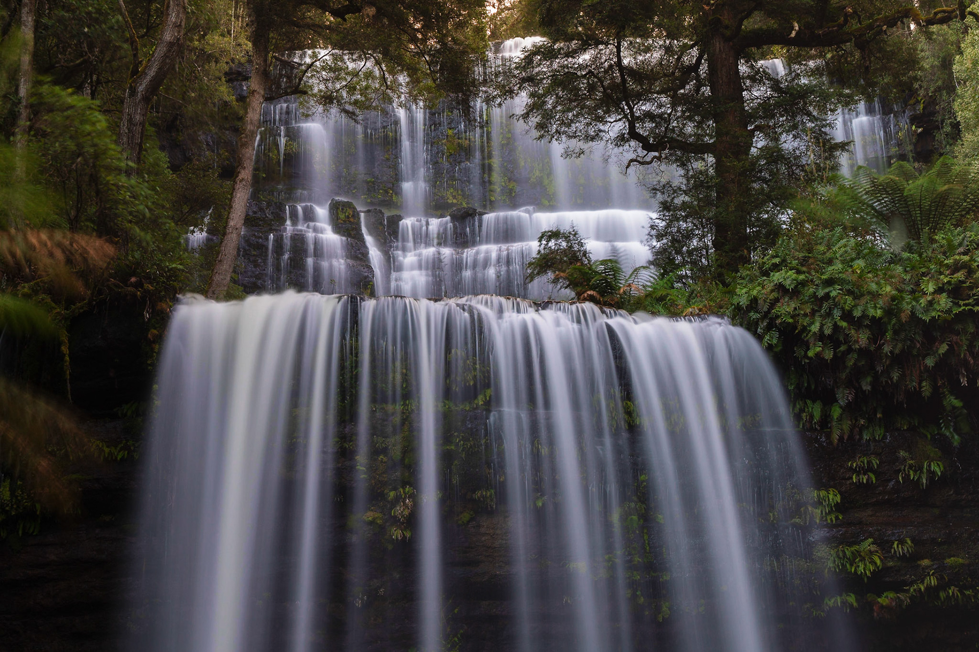 Russell Falls 1