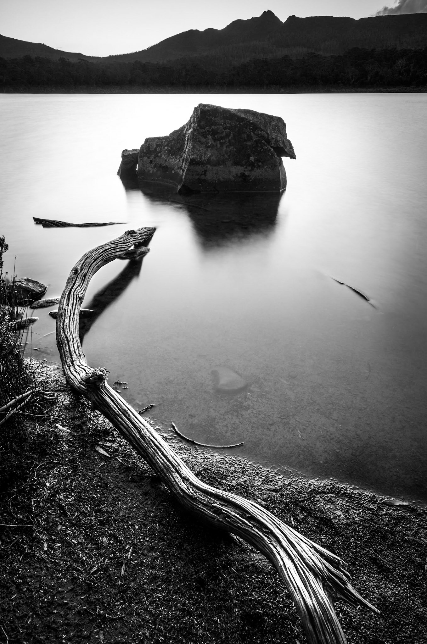 Shadow Lake 2