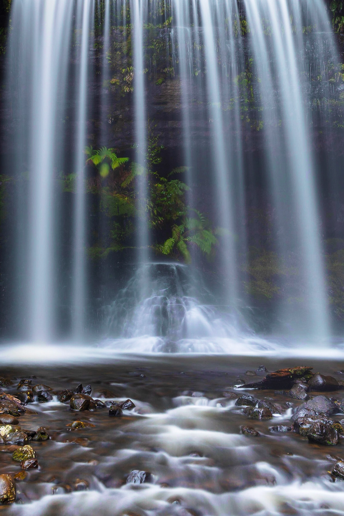 Russell Falls 2