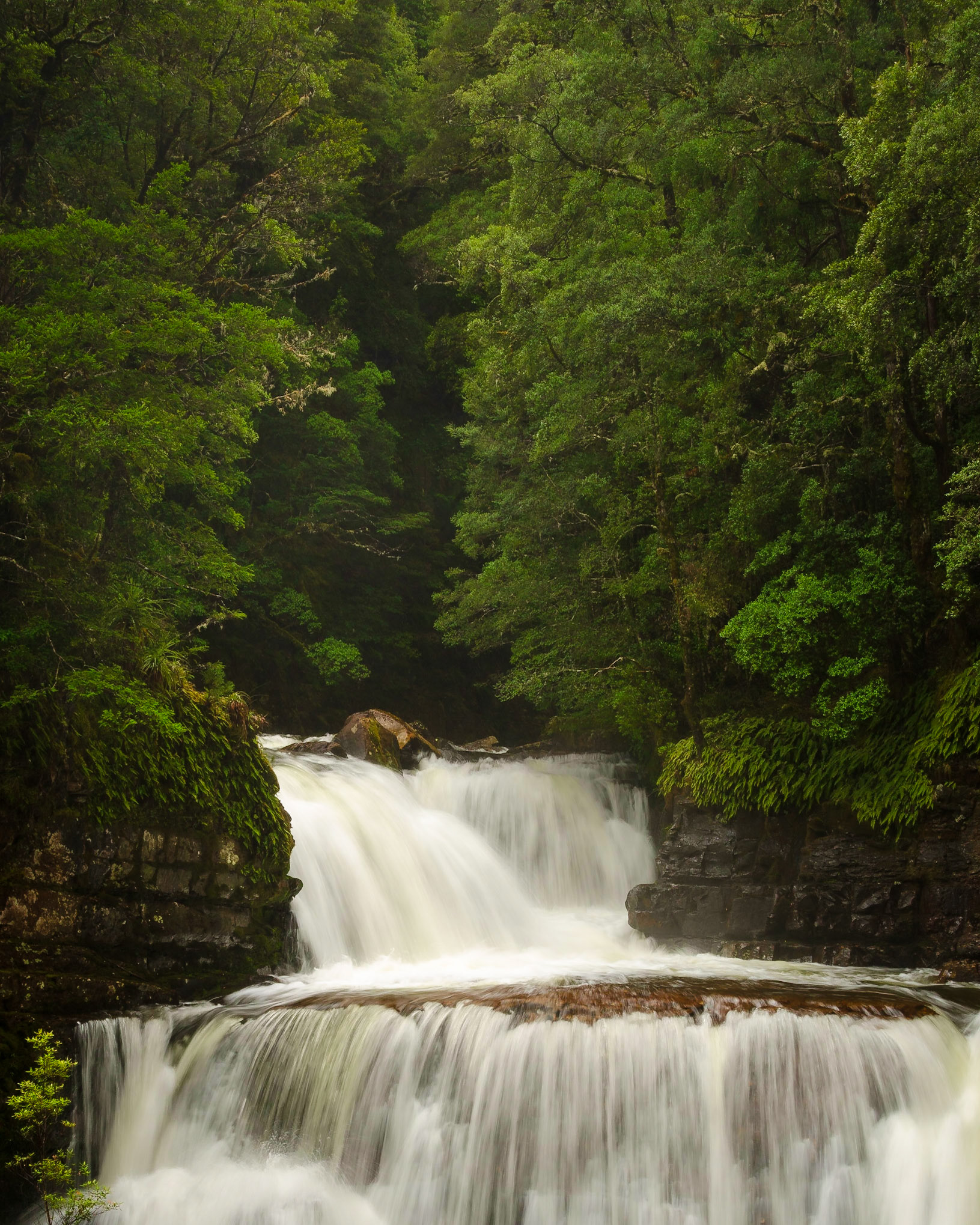 D'Alton Falls 1