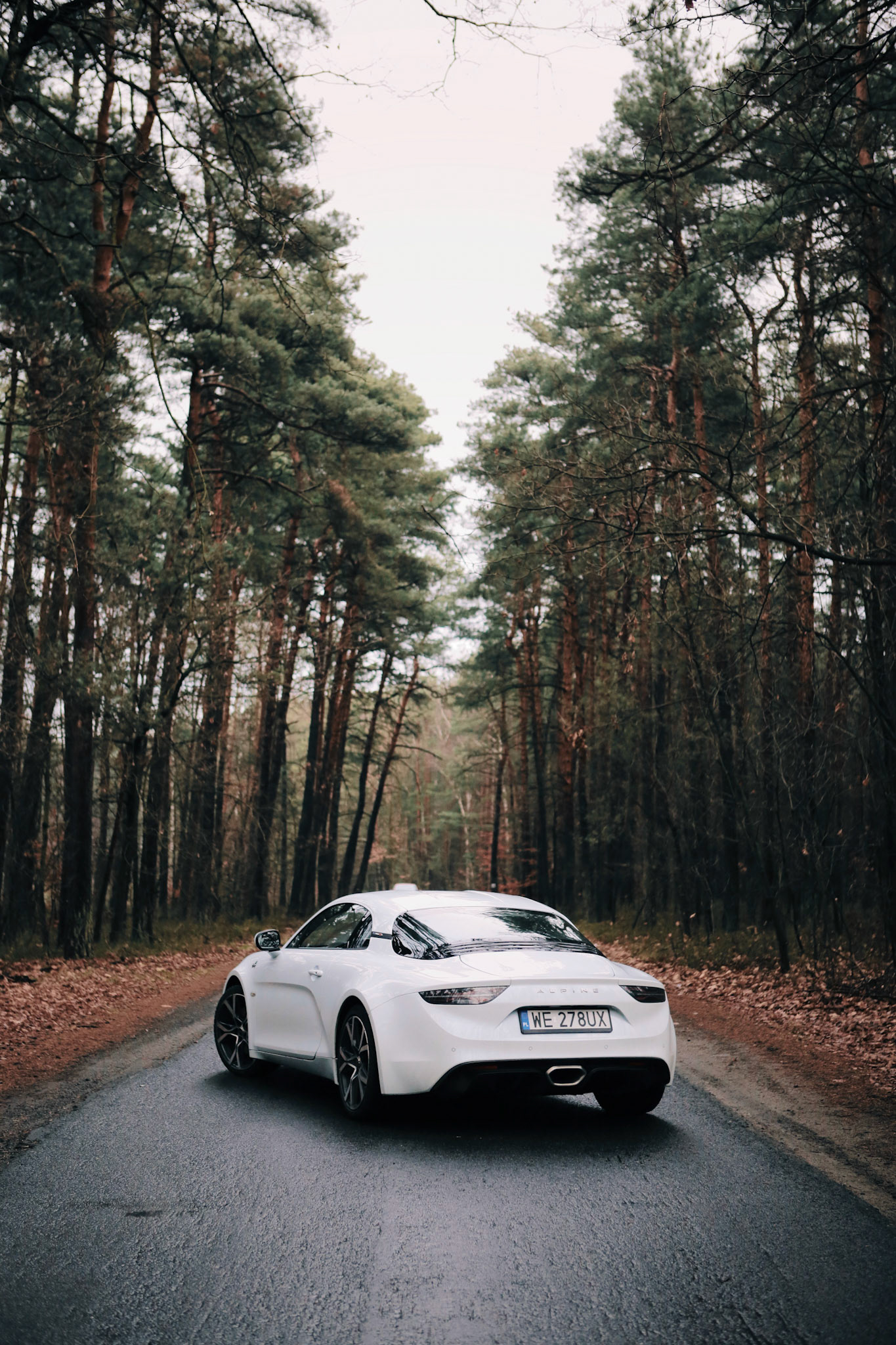Processed with VSCO with g6 preset