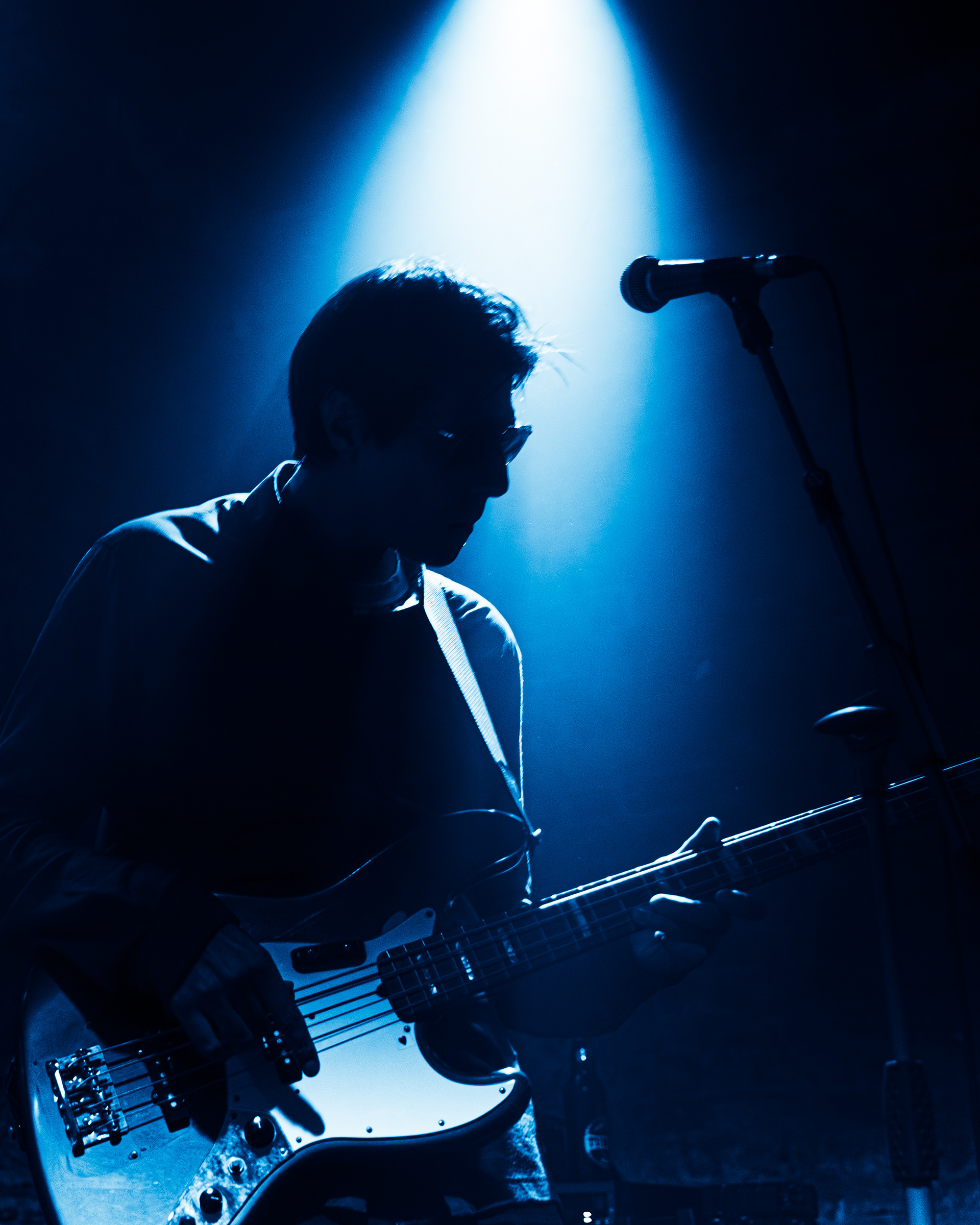 Tarik tore- palmiyeler, istanbul, 26.10.2024