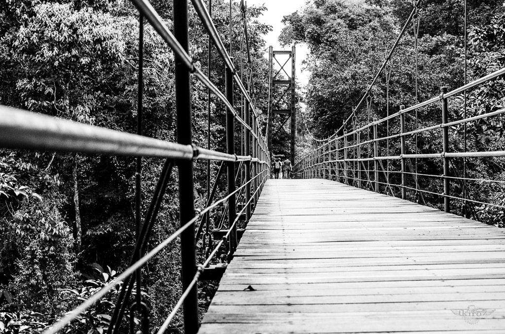 Hanging Bridge